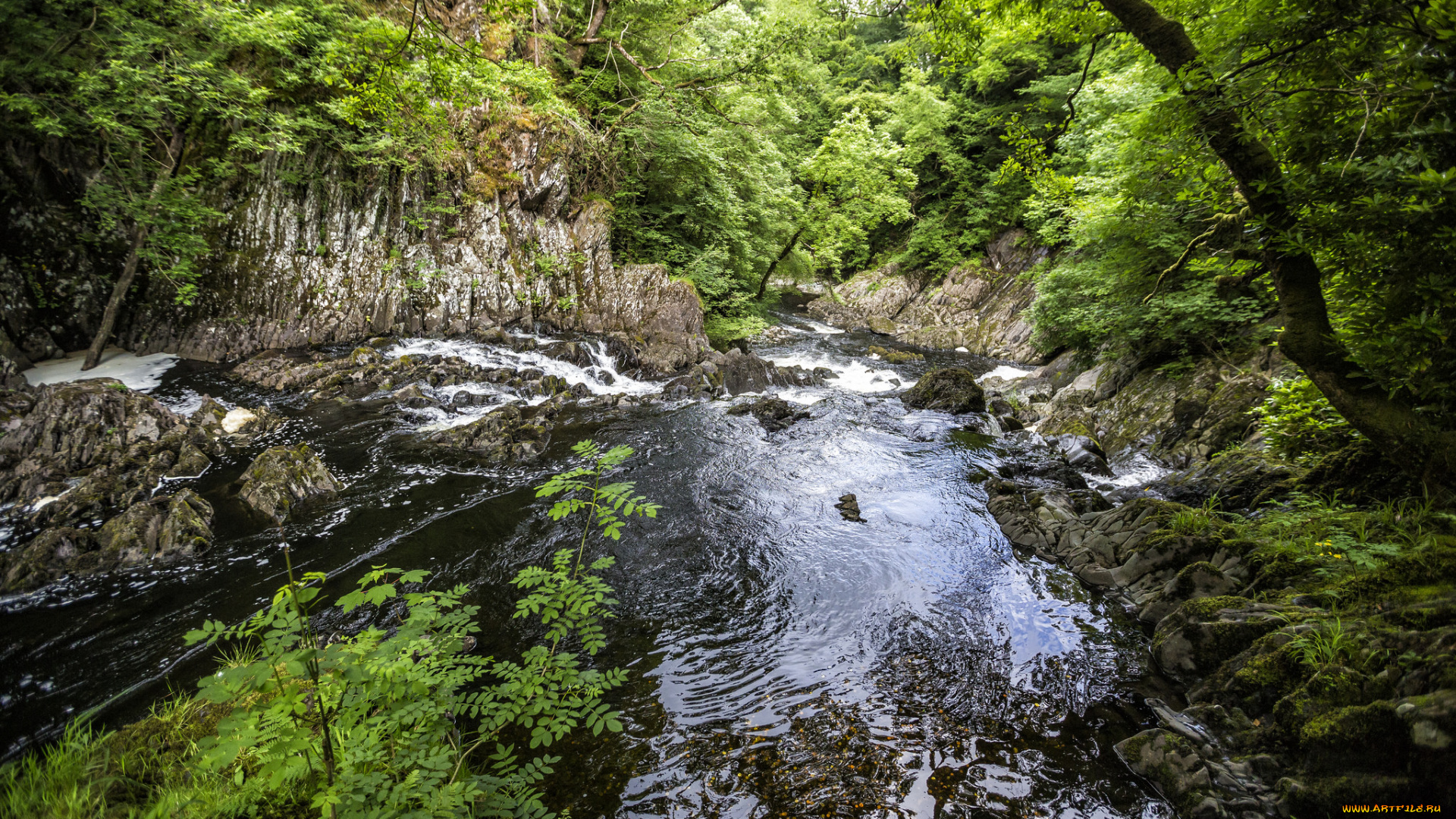 природа, реки, озера, простор