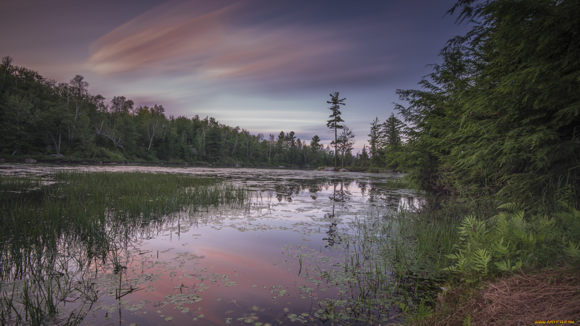 природа, реки, озера, простор