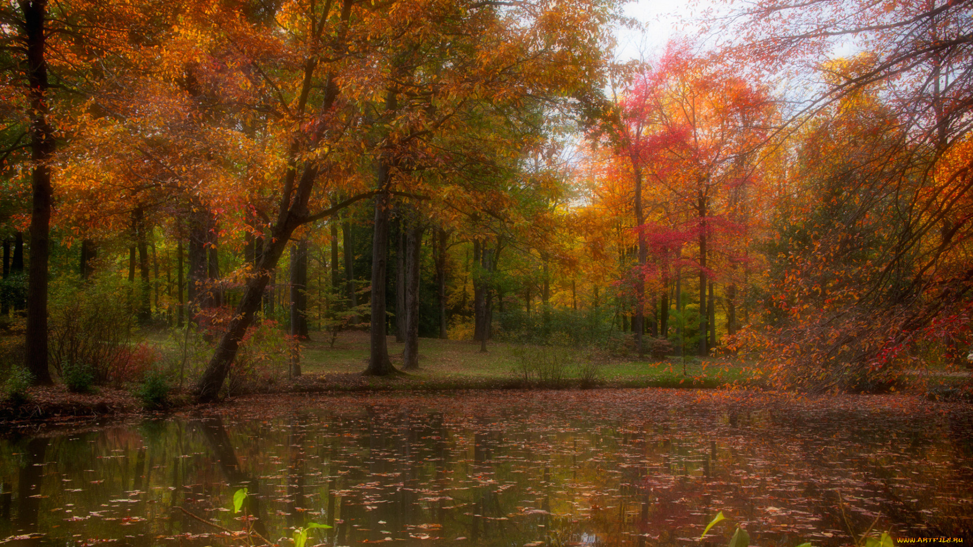 природа, реки, озера, простор