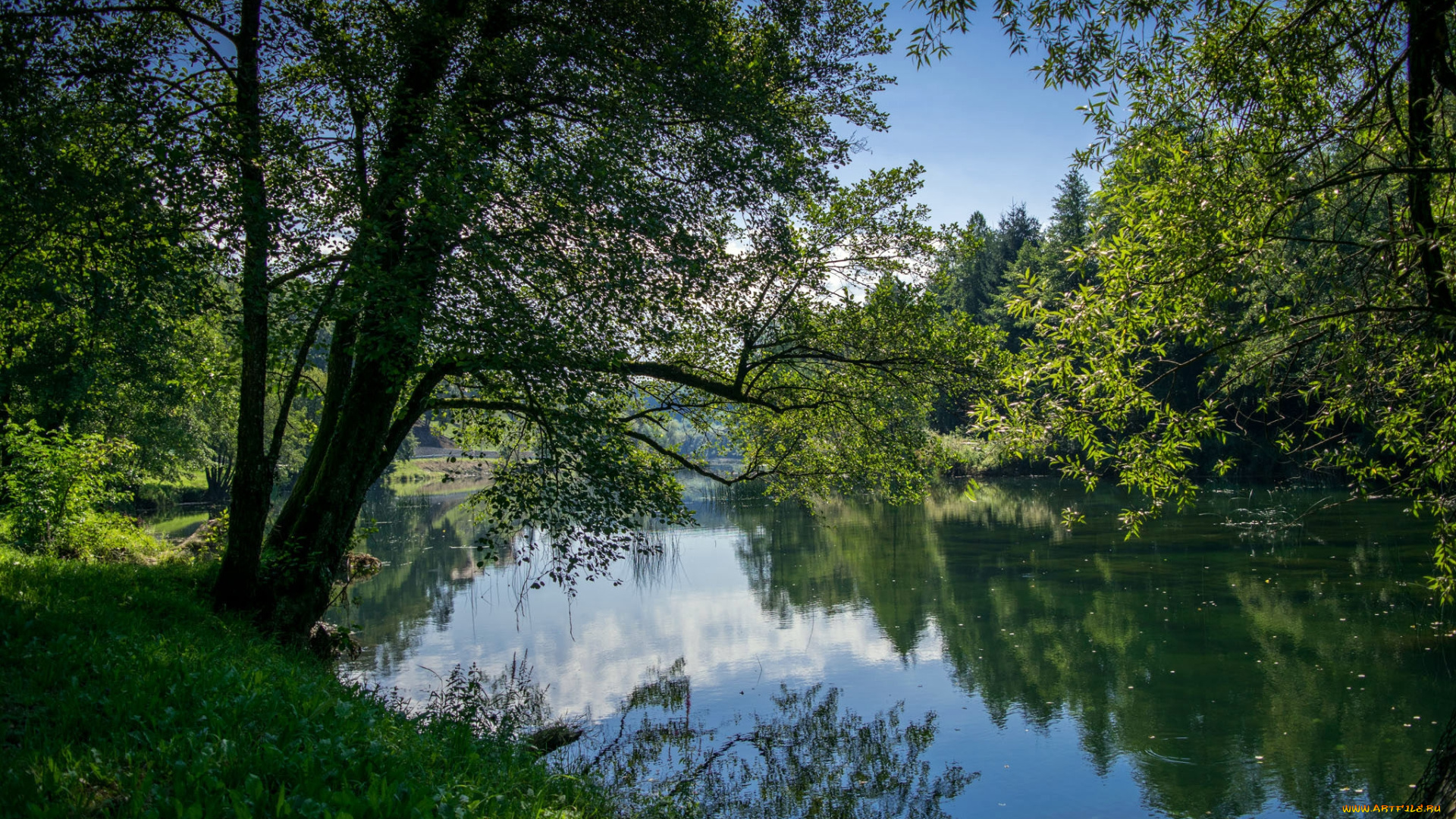природа, реки, озера, простор