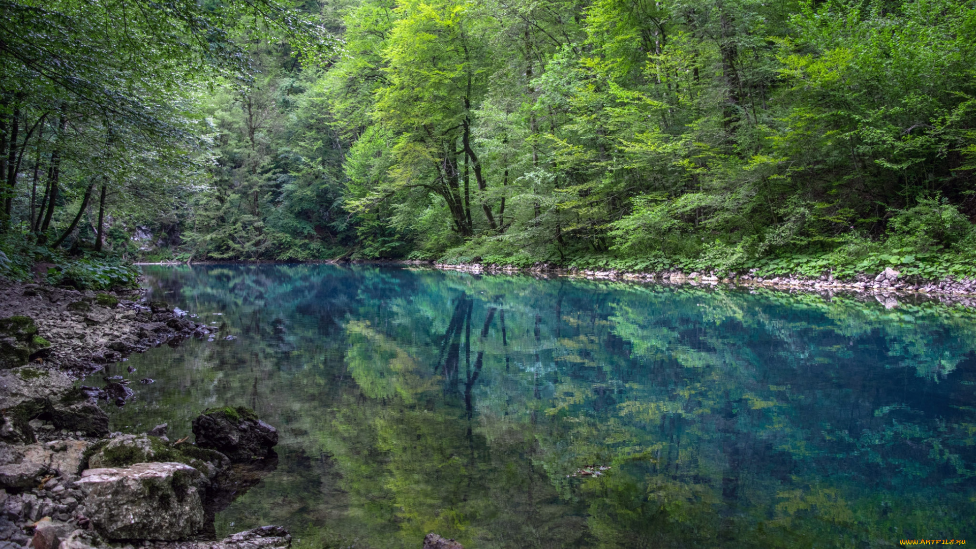 природа, реки, озера, простор