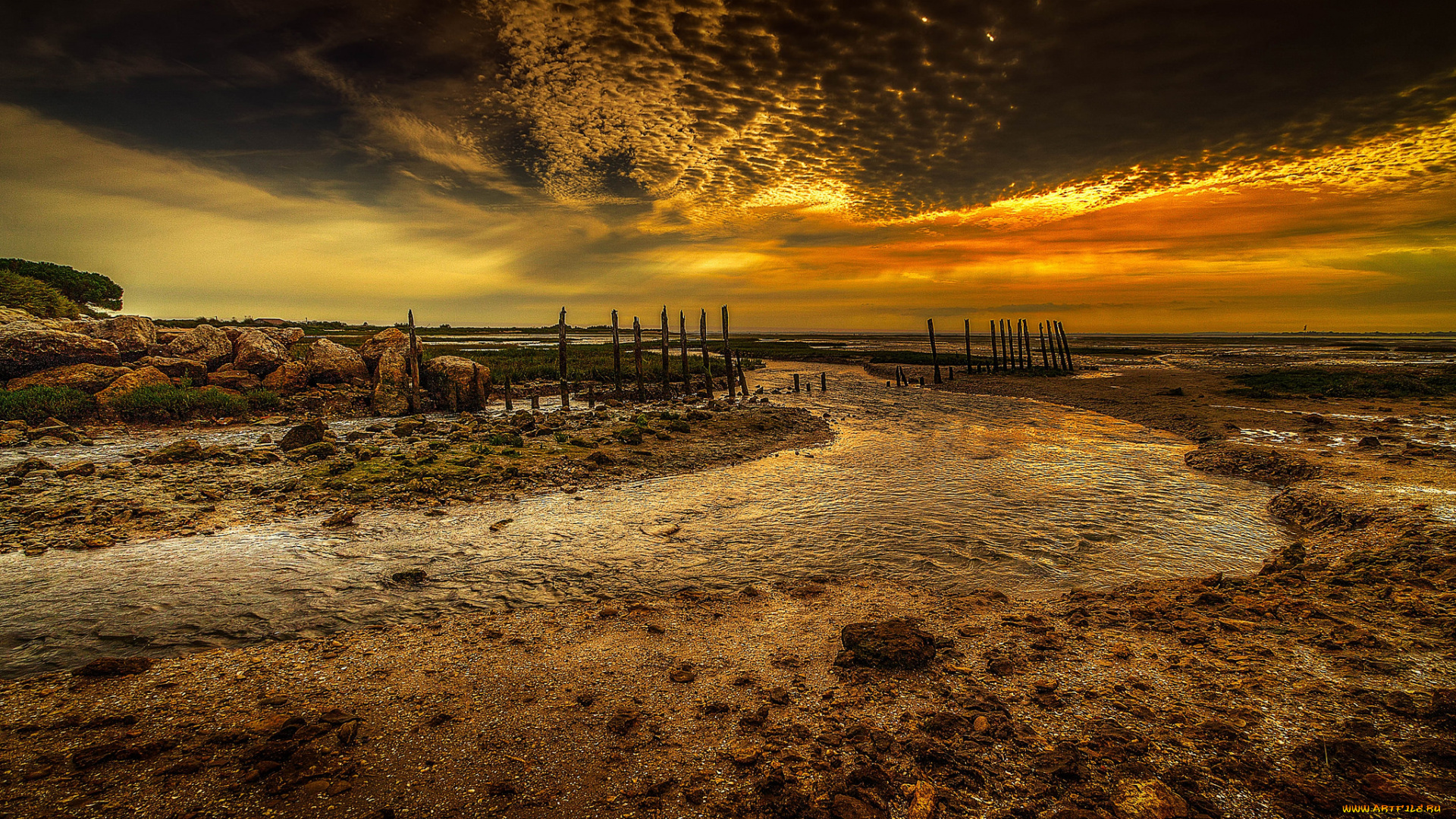 природа, реки, озера, простор