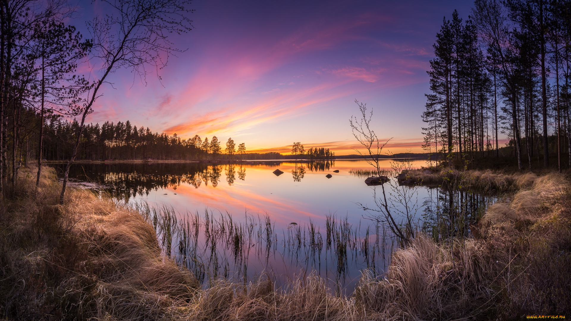 природа, реки, озера, простор