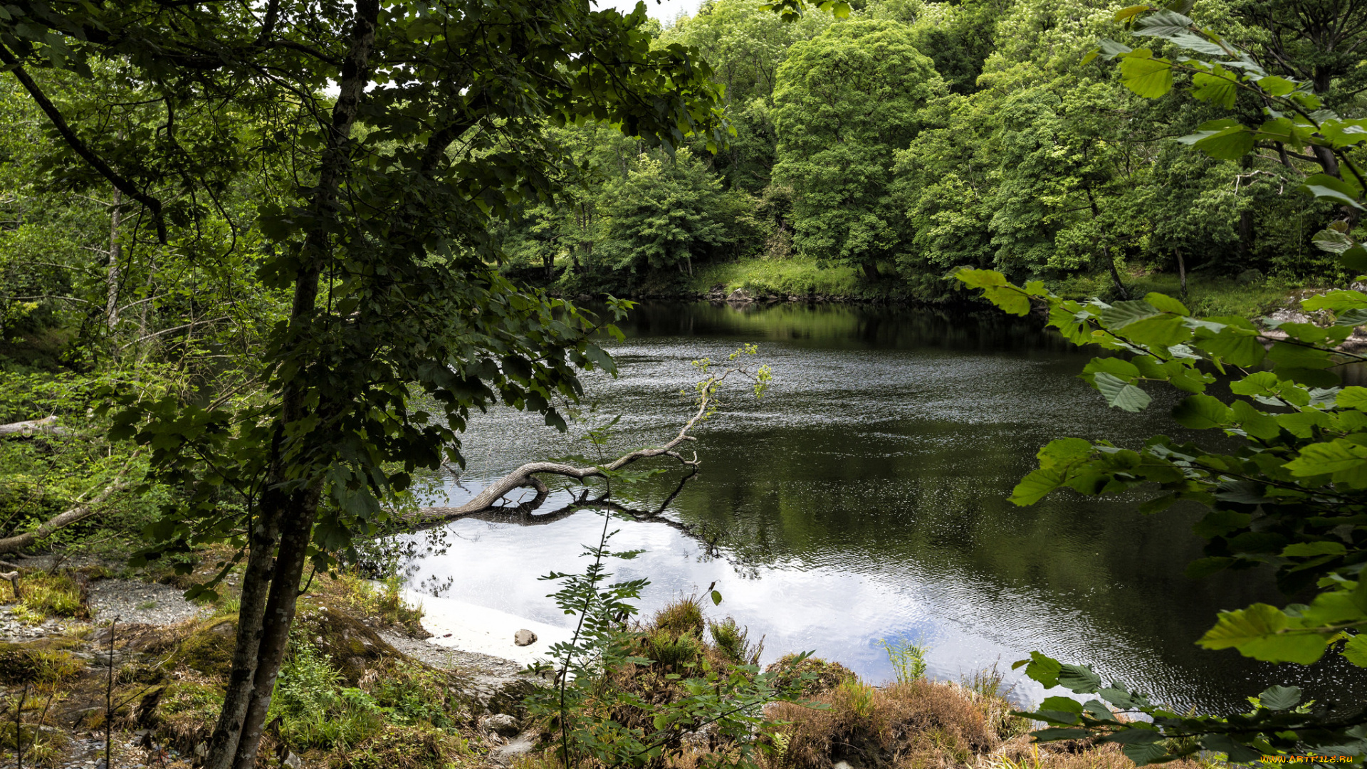 природа, реки, озера, простор