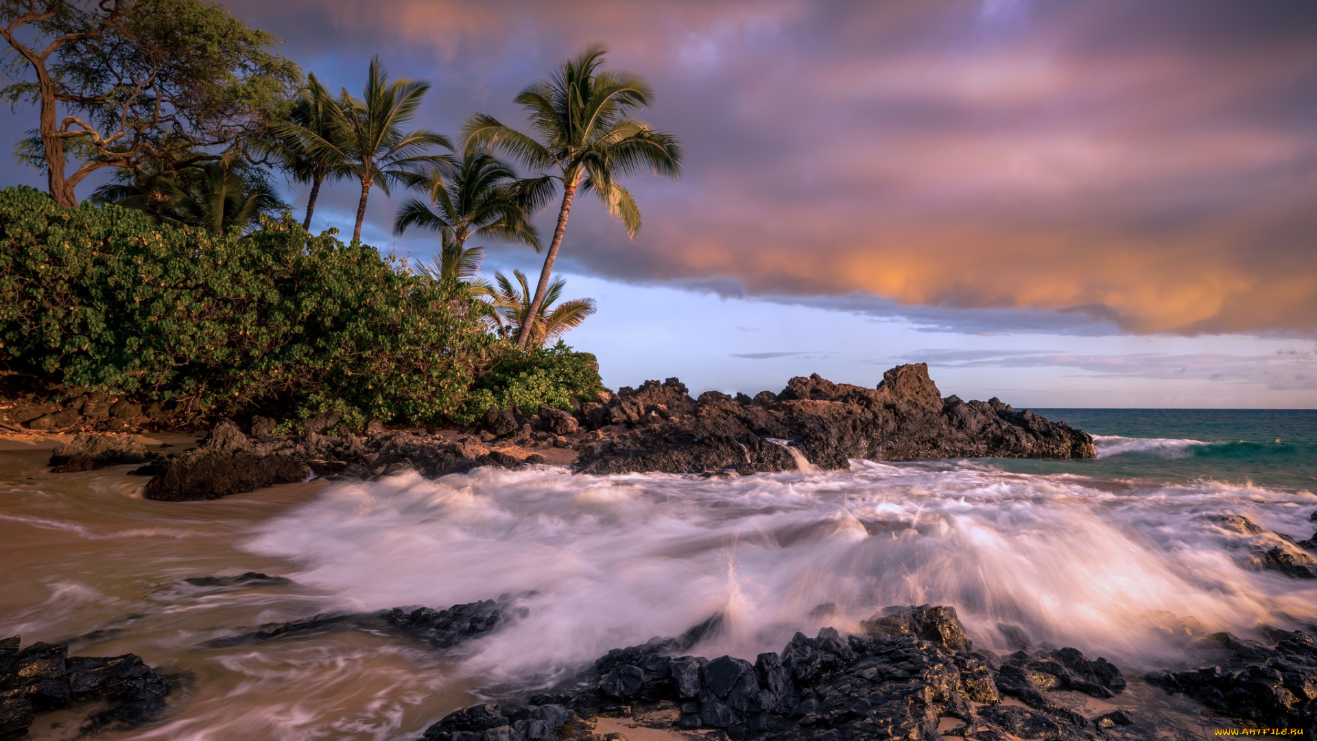 природа, тропики, простор