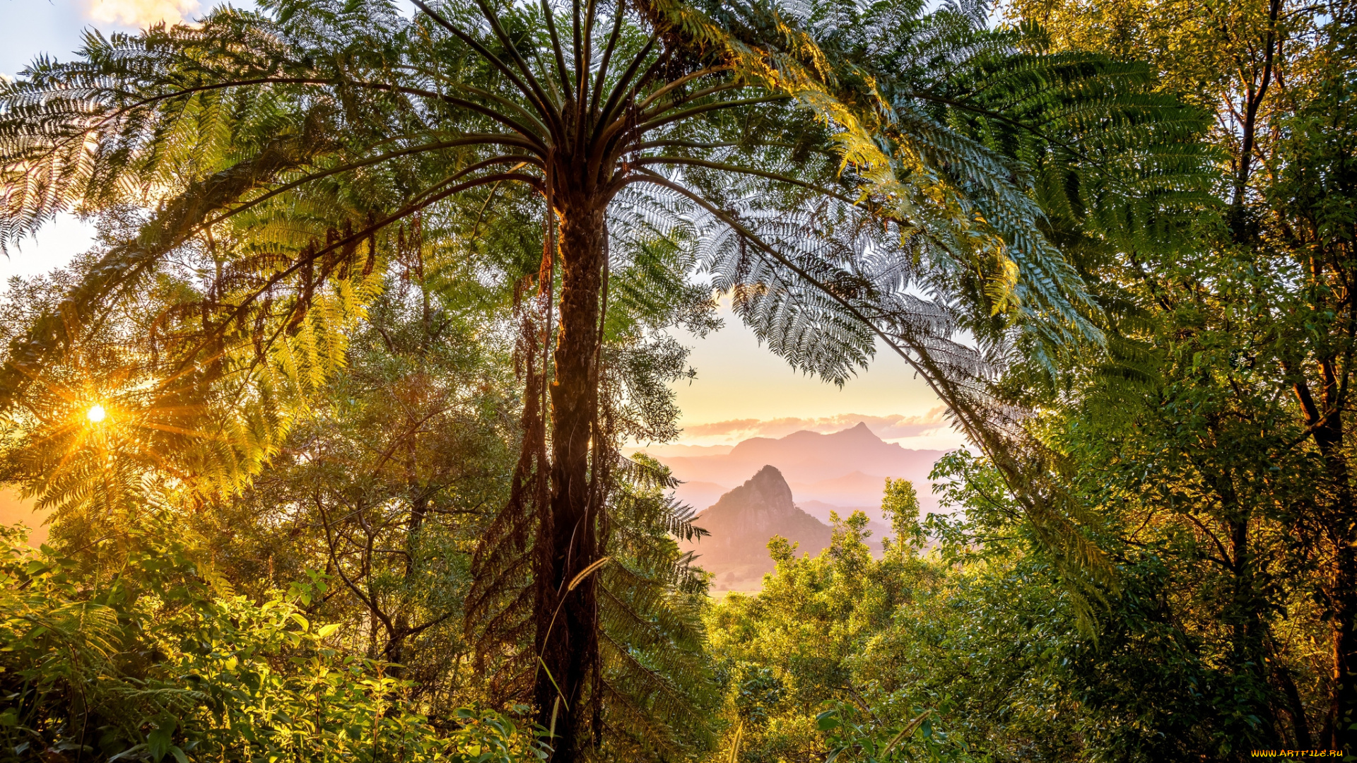 природа, тропики, простор