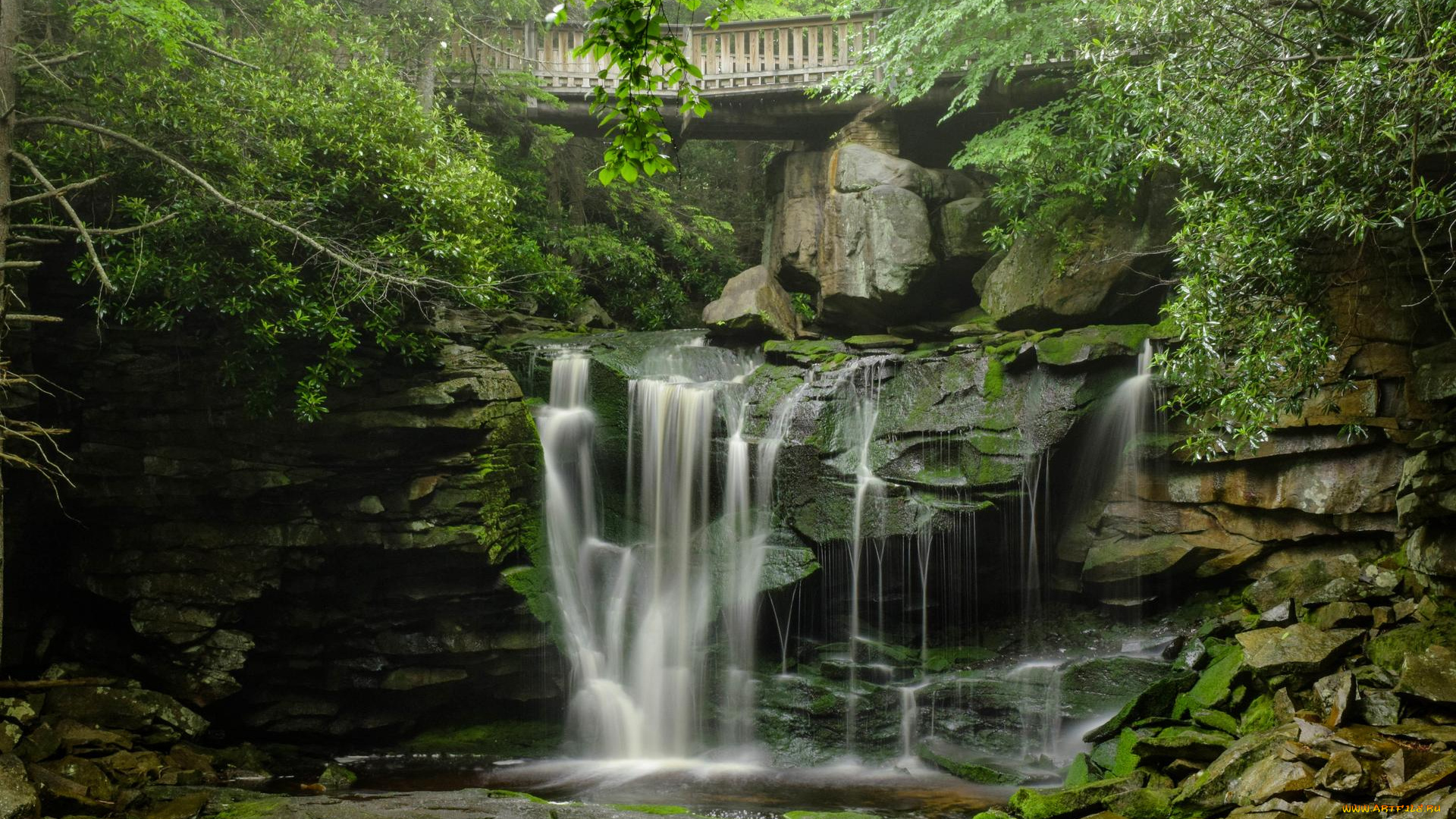 природа, водопады, пейзаж, деревья, мост, скалы, водопад