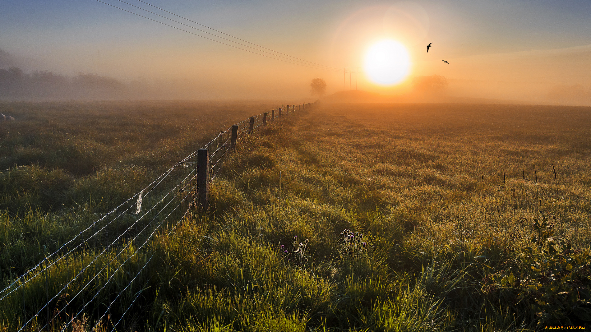 природа, восходы, закаты, простор