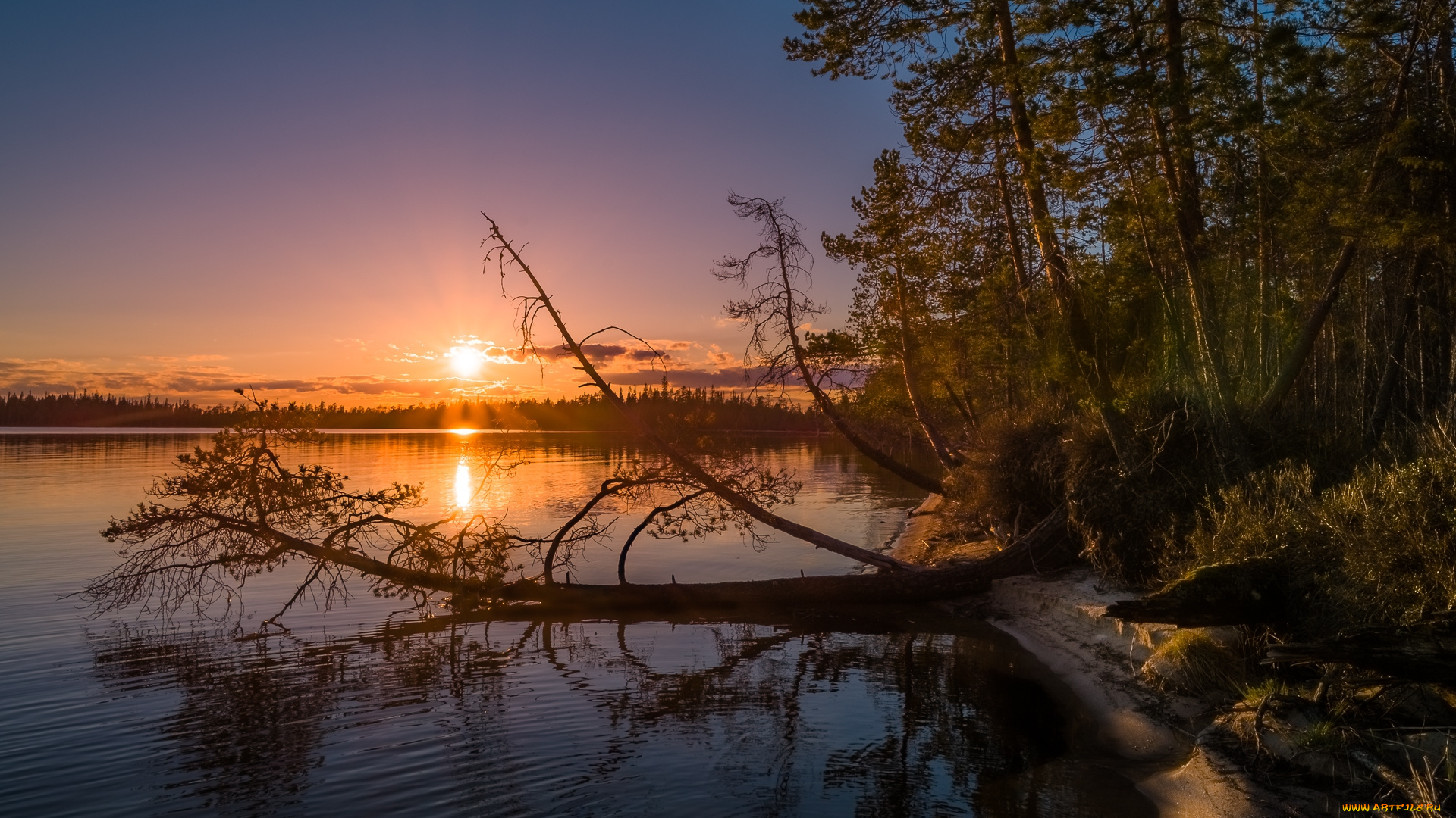природа, восходы, закаты, простор