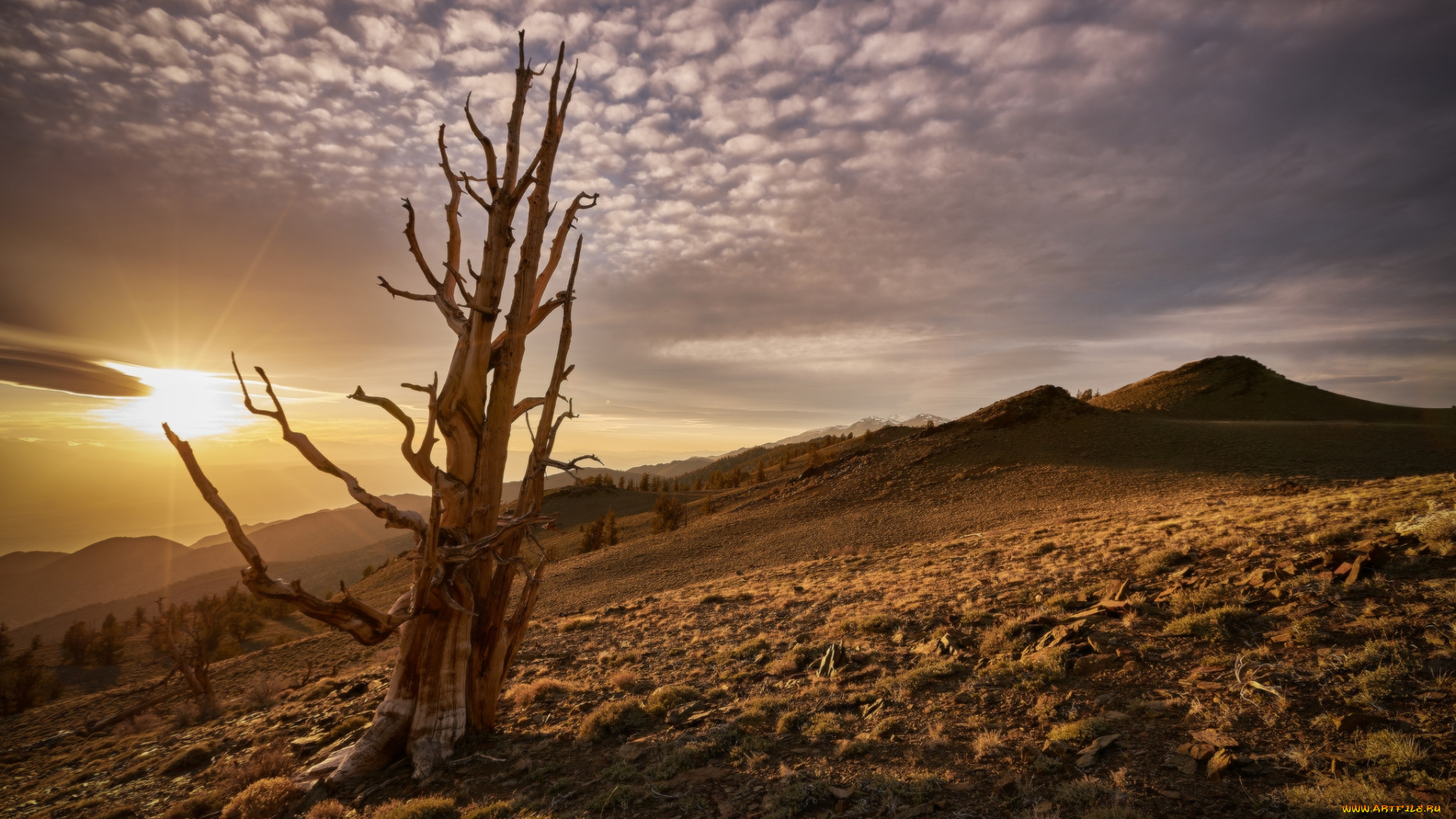 природа, восходы, закаты, простор