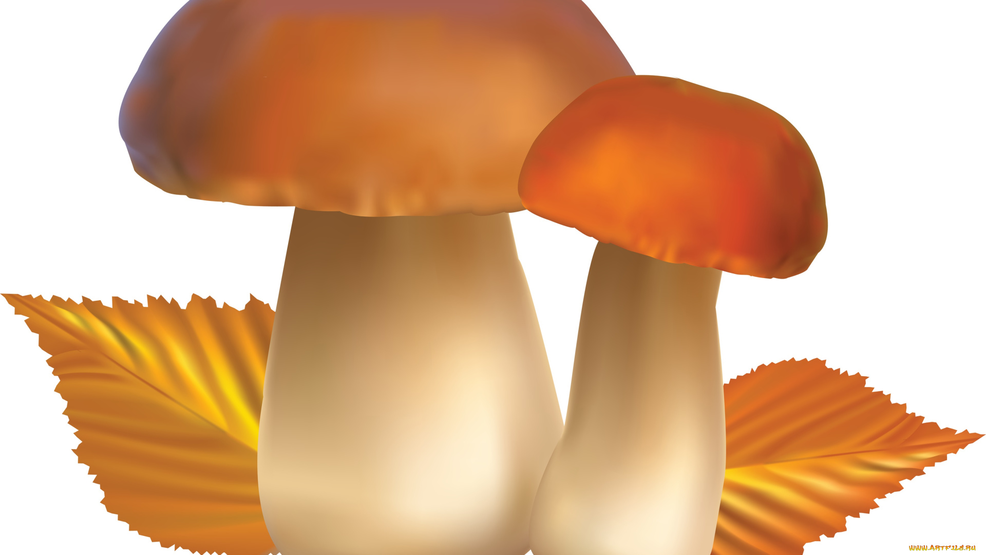 векторная, графика, еда, , food, листья, осень, грибы