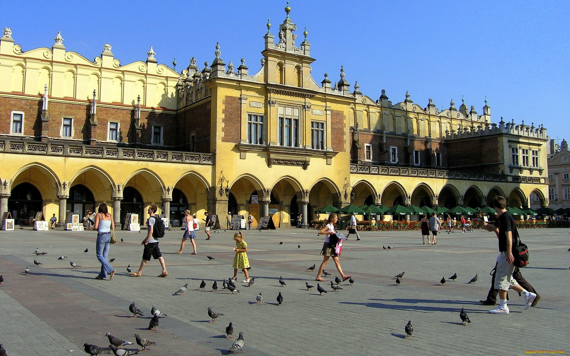 города, краков, , польша, голуби, площадь