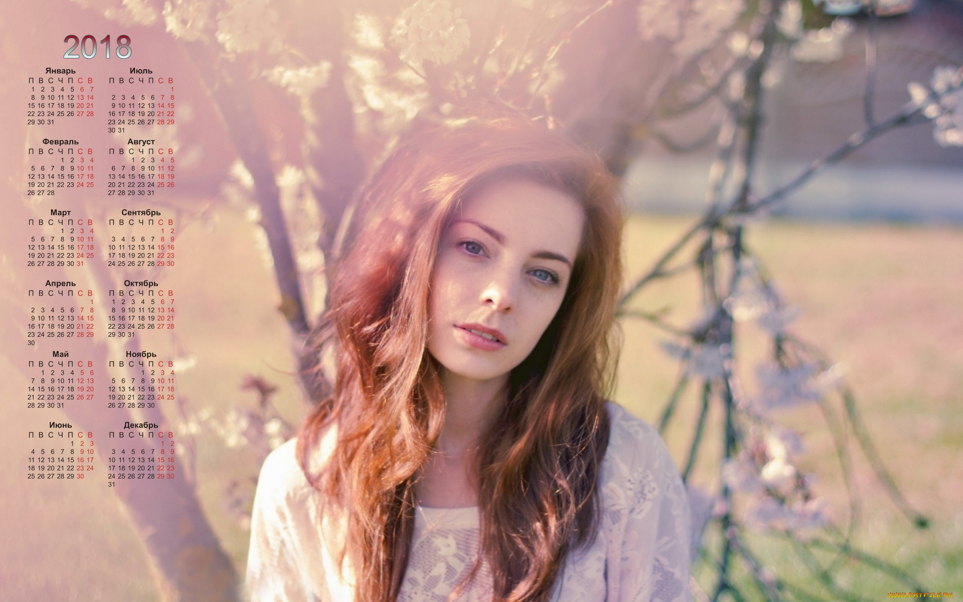 календари, девушки, растения, лицо, взгляд