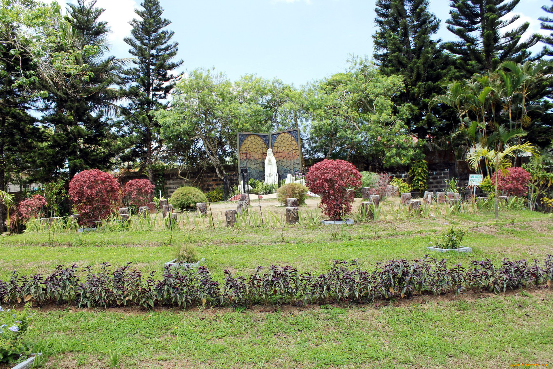 природа, парк, кусты, клумбы