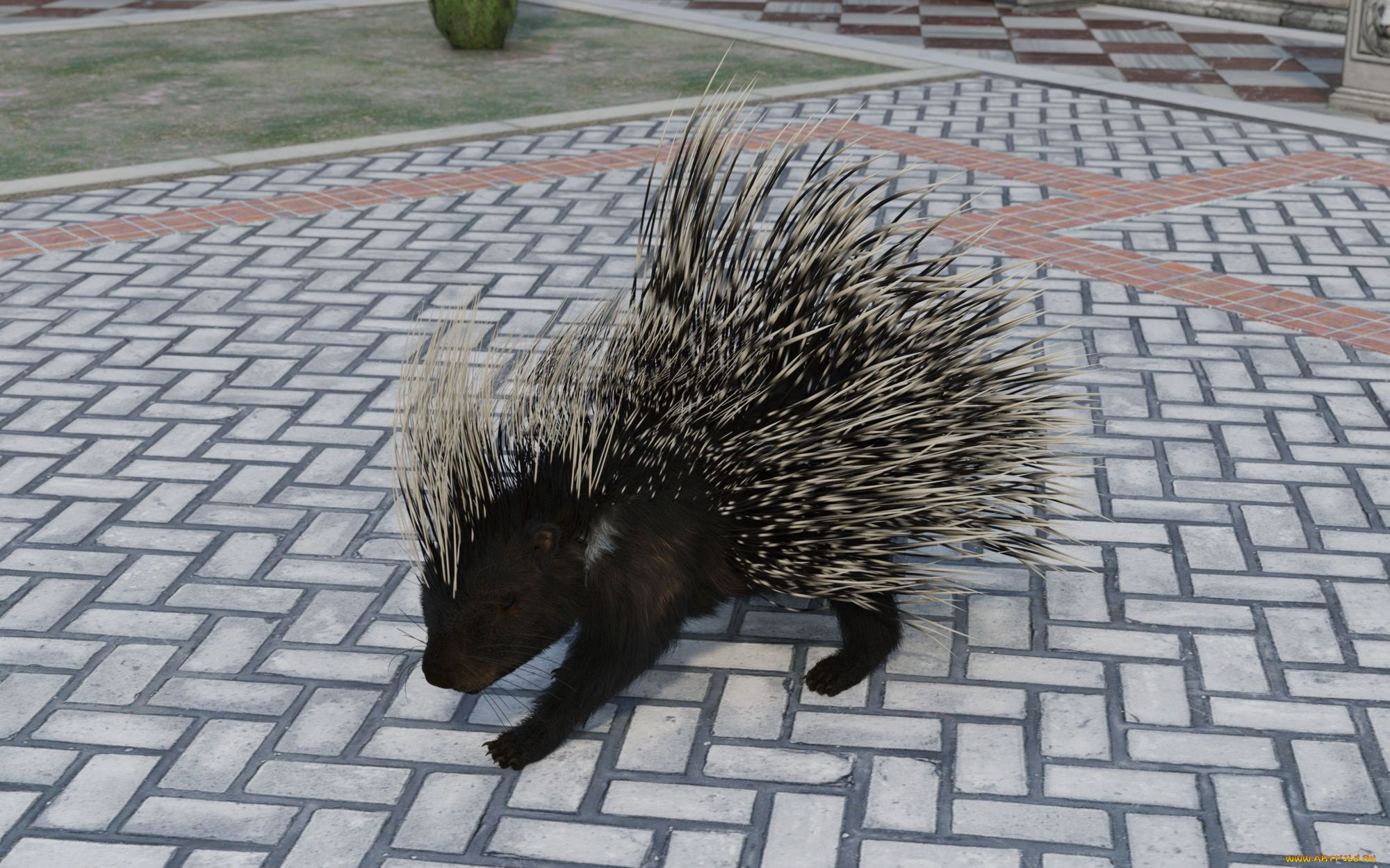 3д, графика, животные, , animals, country