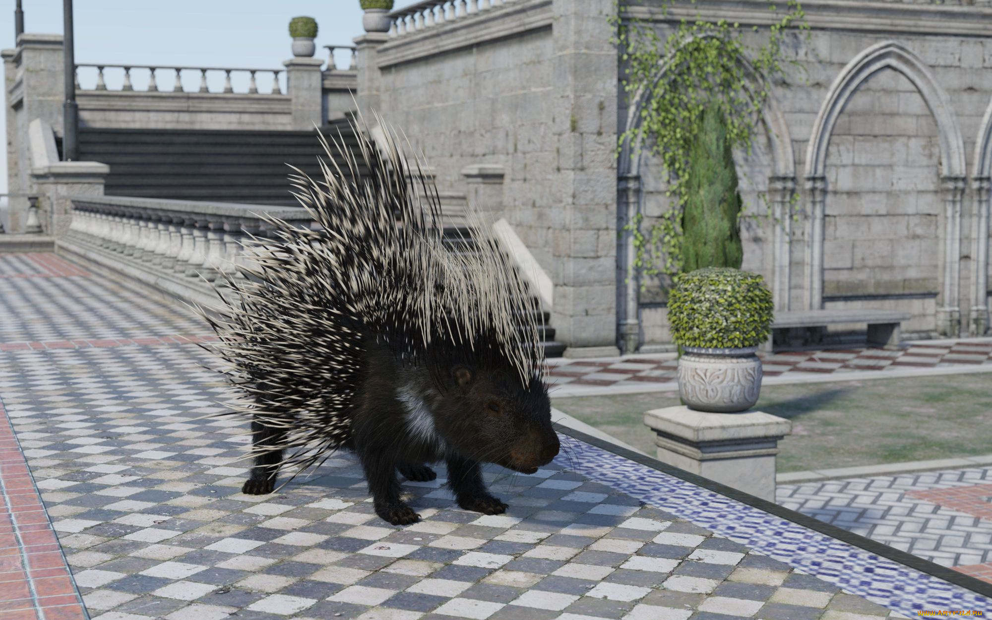 3д, графика, животные, , animals, country