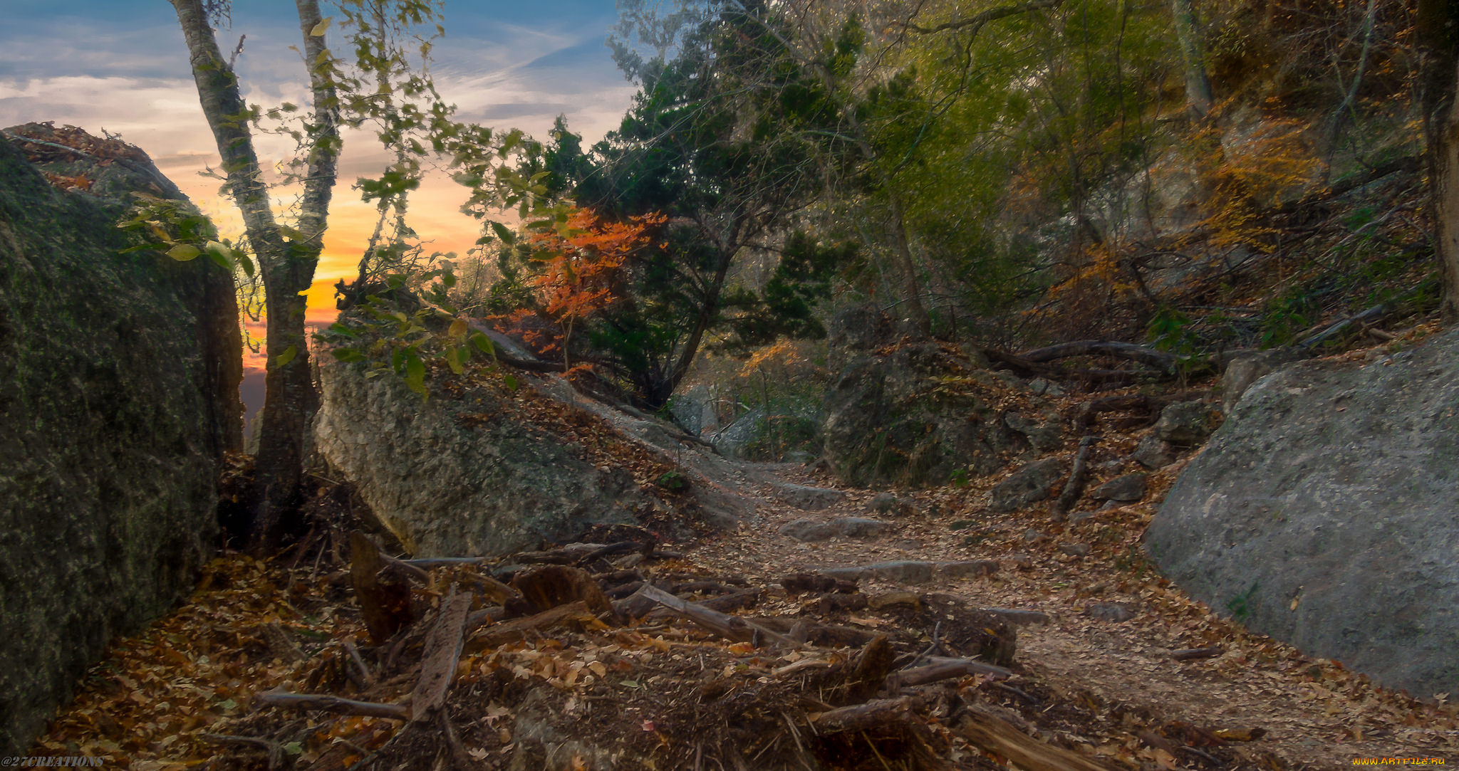 природа, дороги, простор