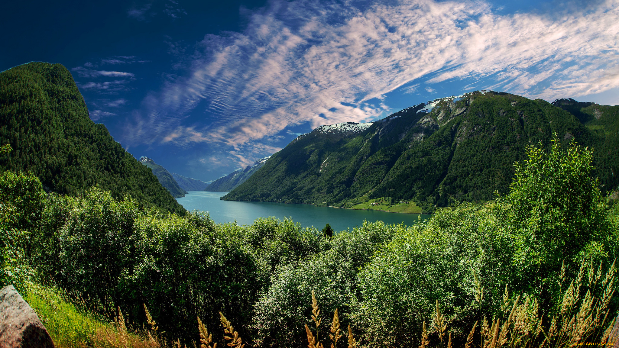 природа, пейзажи, простор