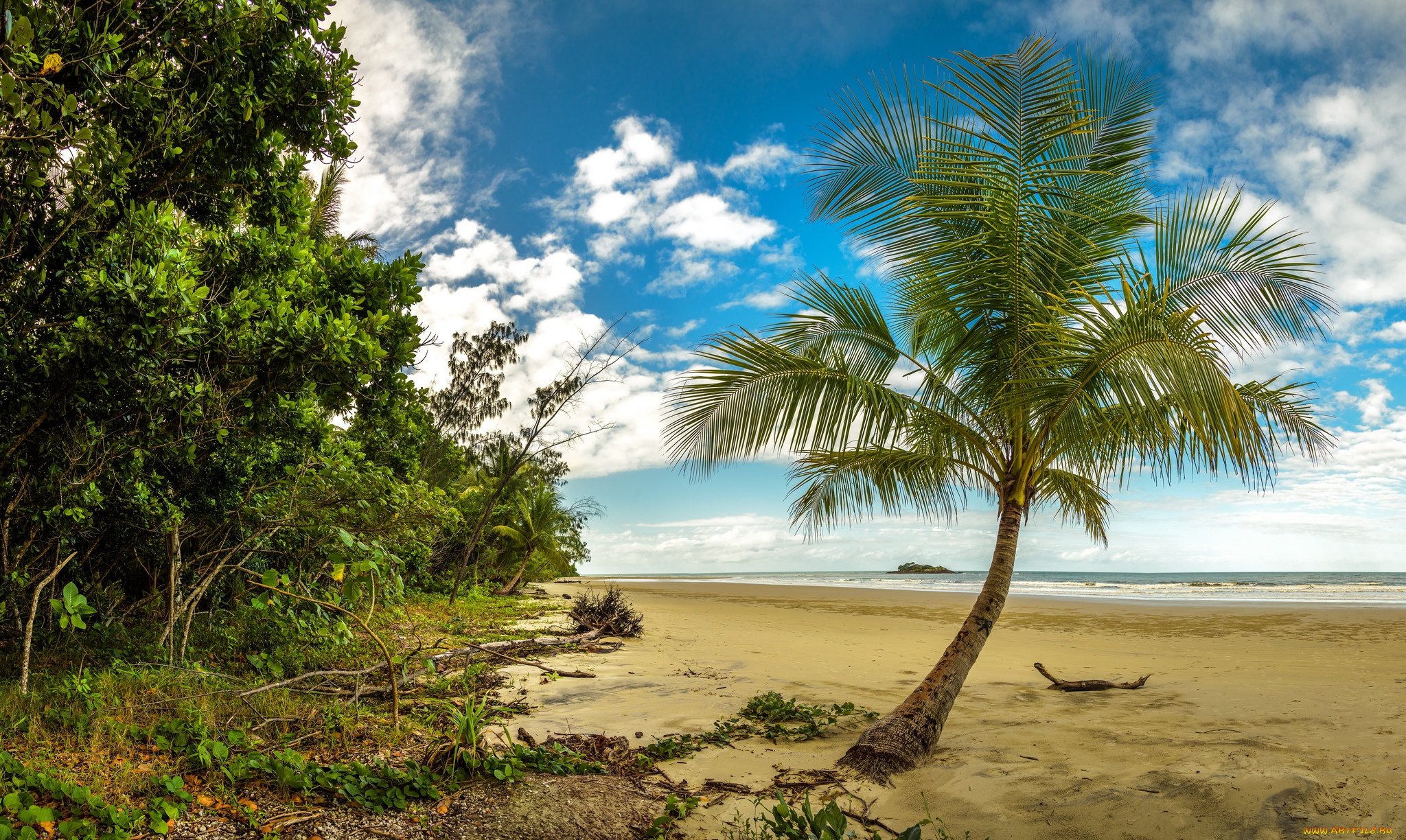 природа, тропики, простор