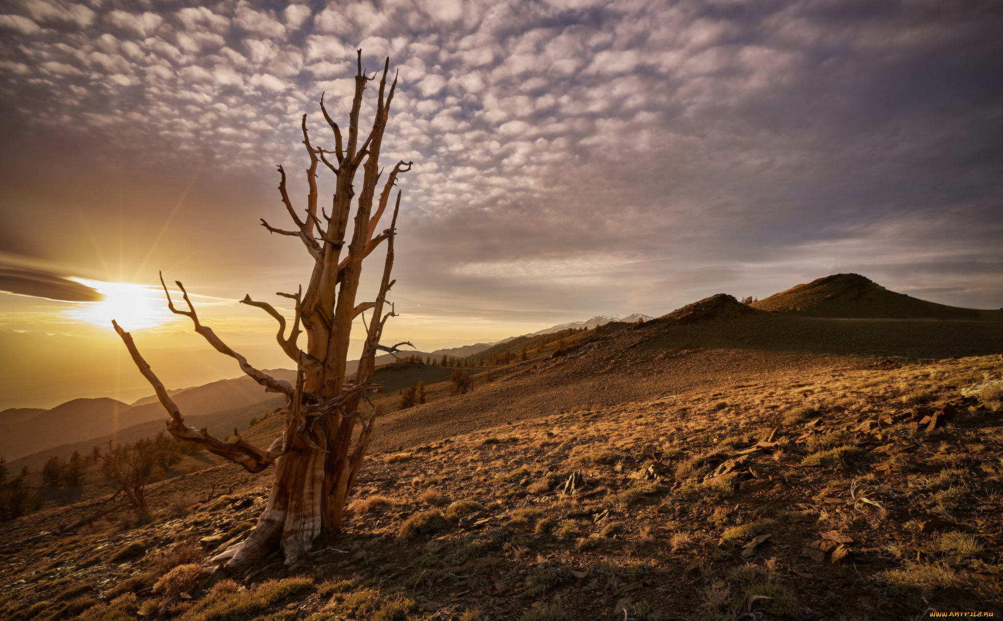 природа, восходы, закаты, простор
