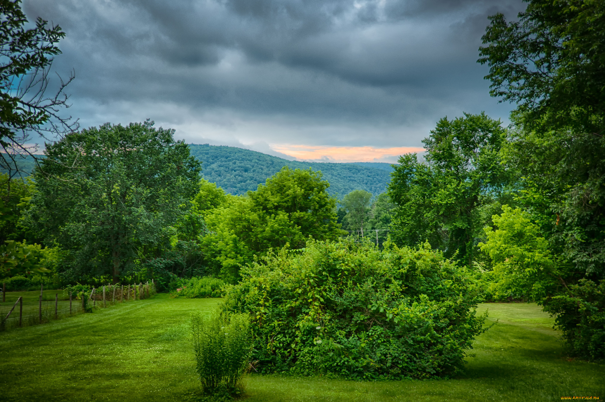 природа, пейзажи, простор