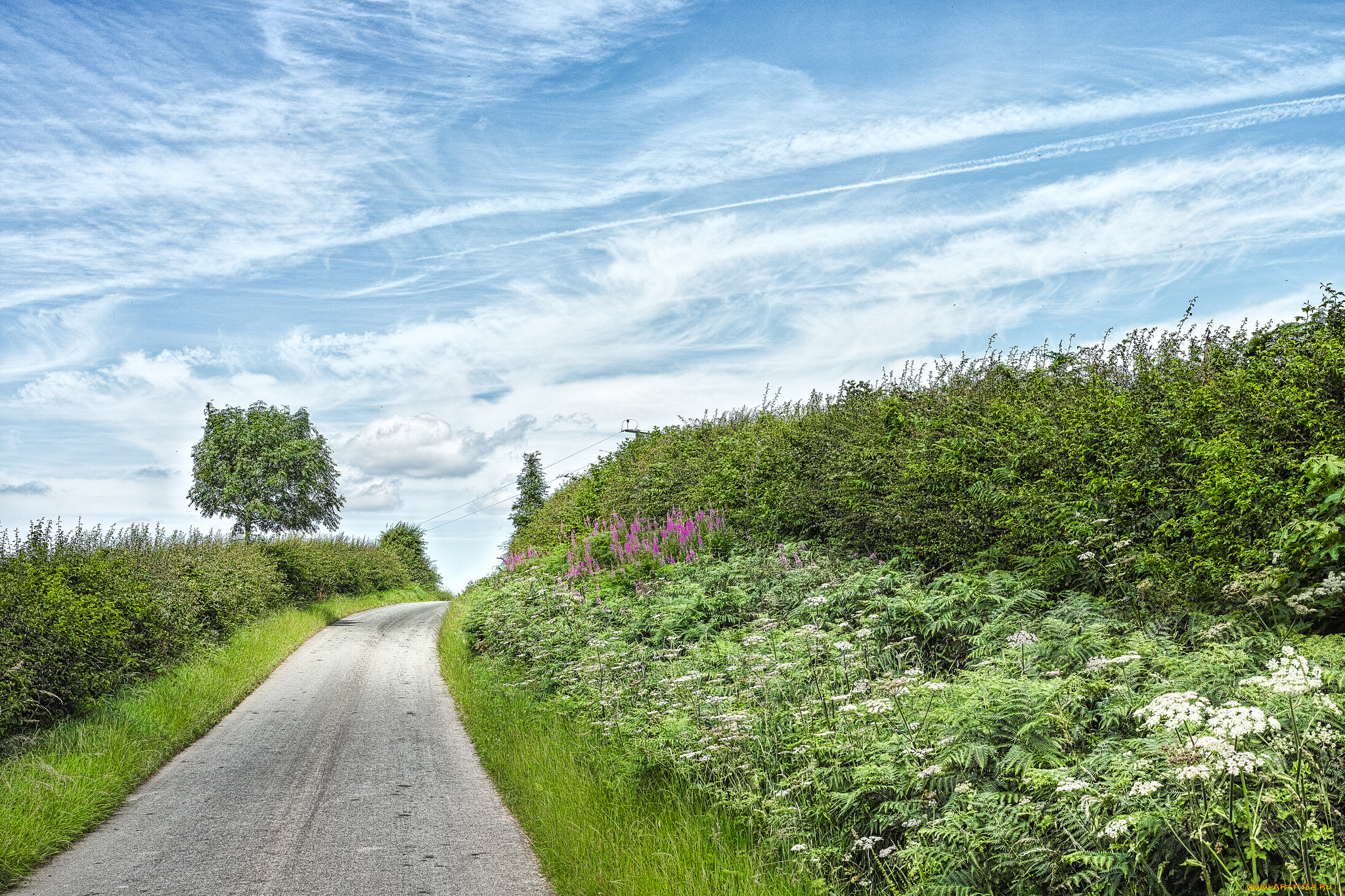 природа, дороги, простор