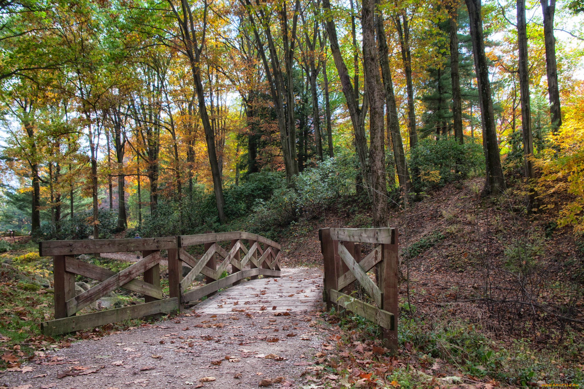 природа, дороги, простор