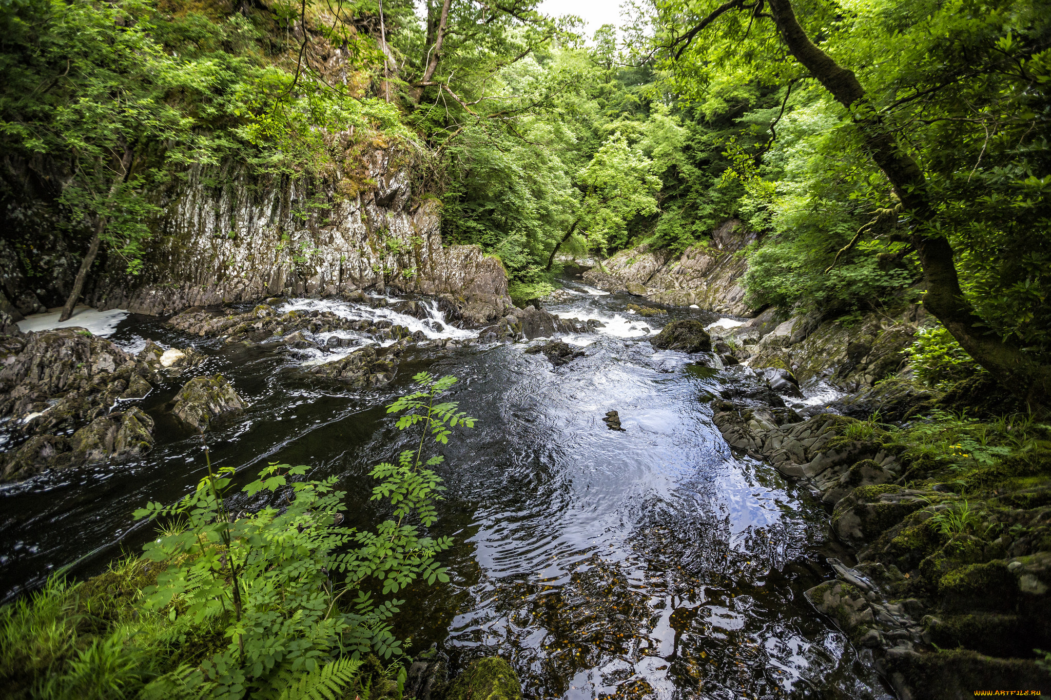 природа, реки, озера, простор