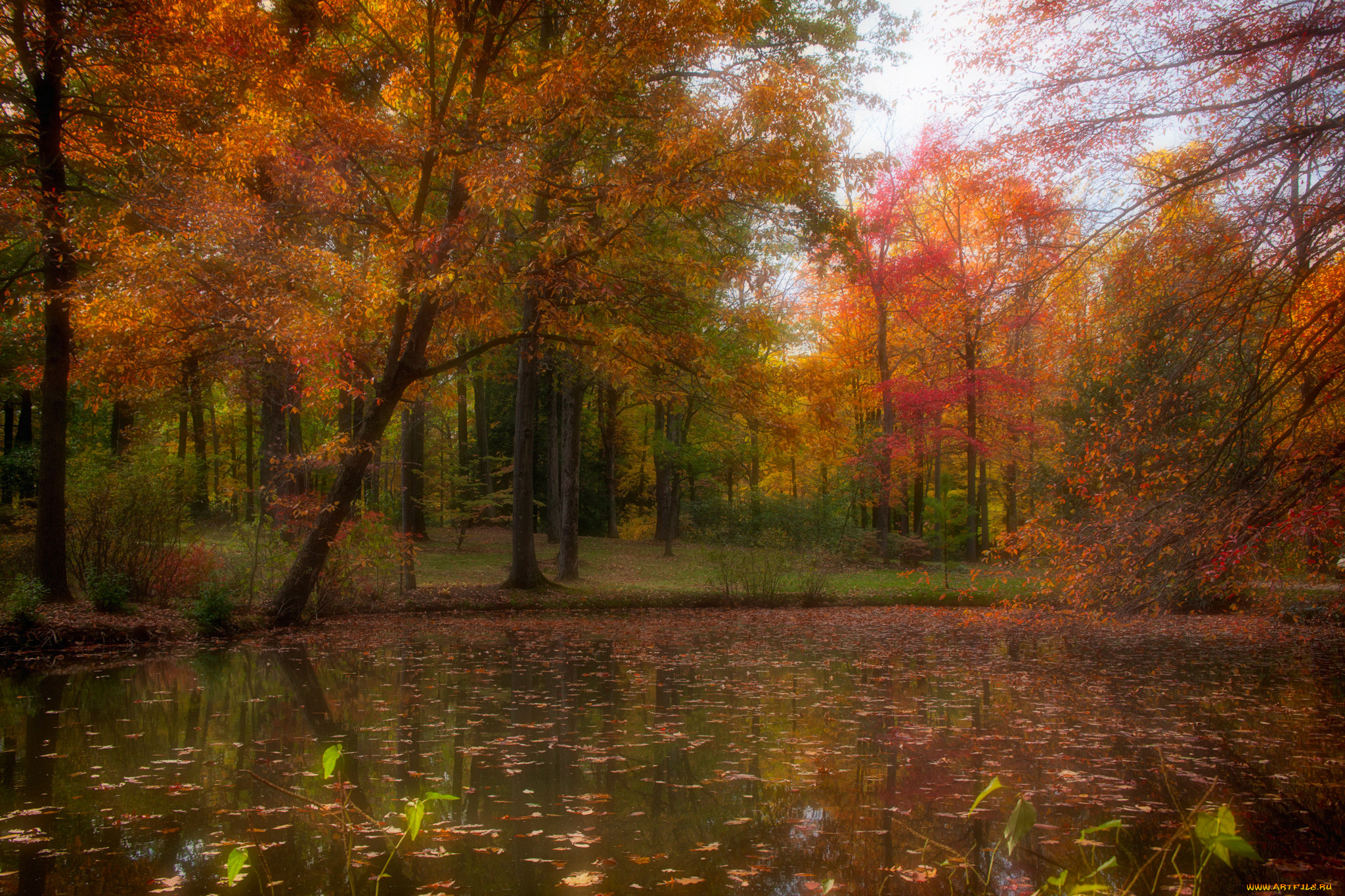 природа, реки, озера, простор