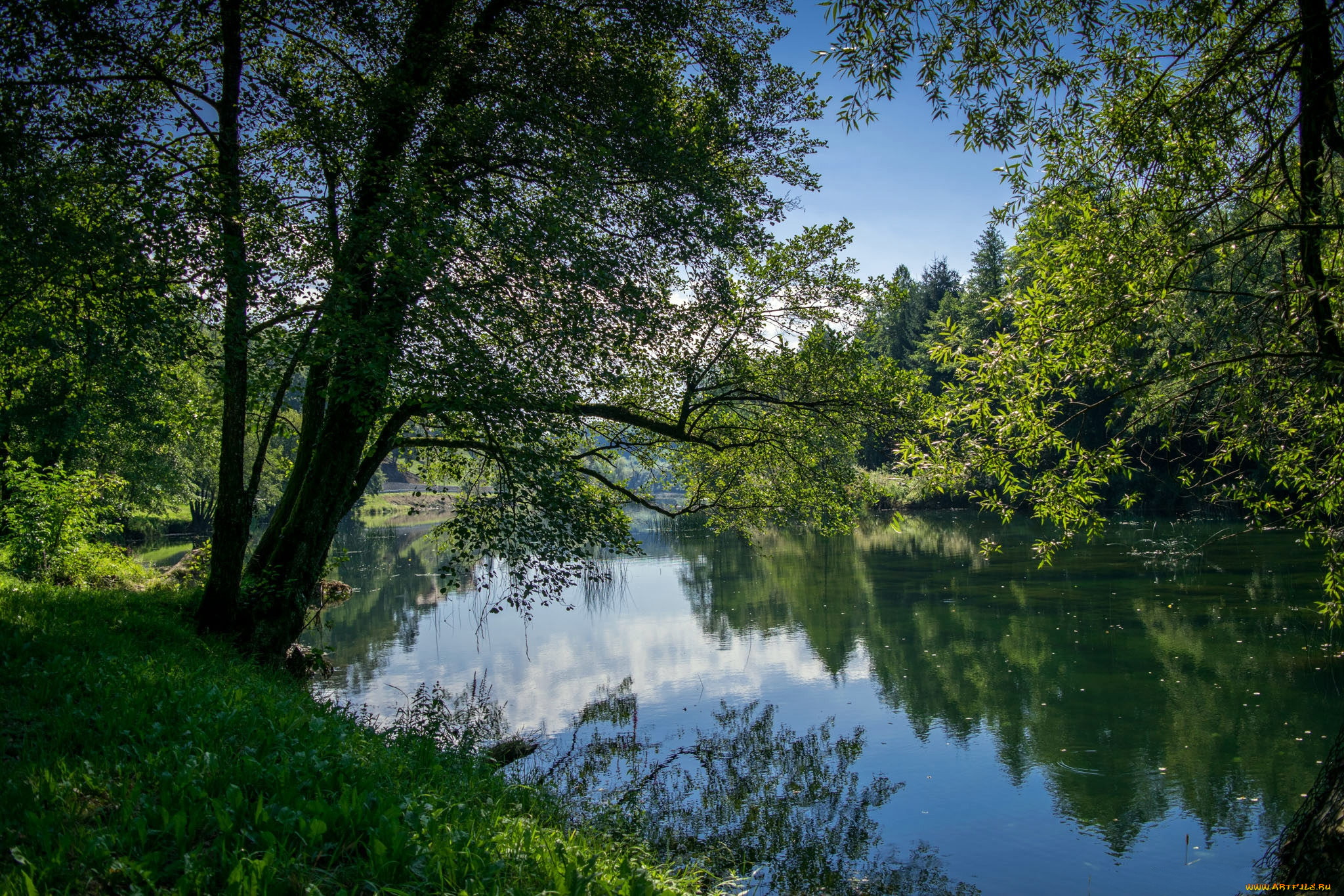 природа, реки, озера, простор