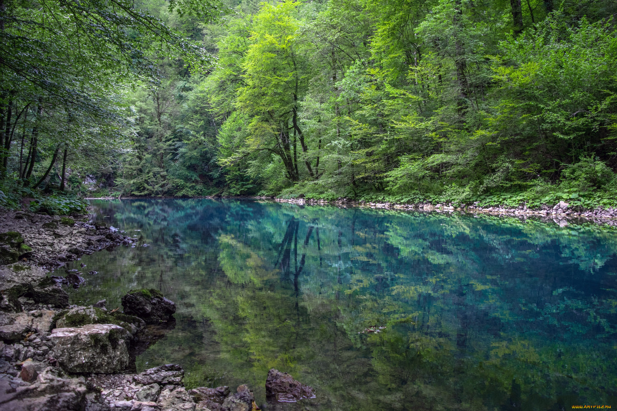 природа, реки, озера, простор