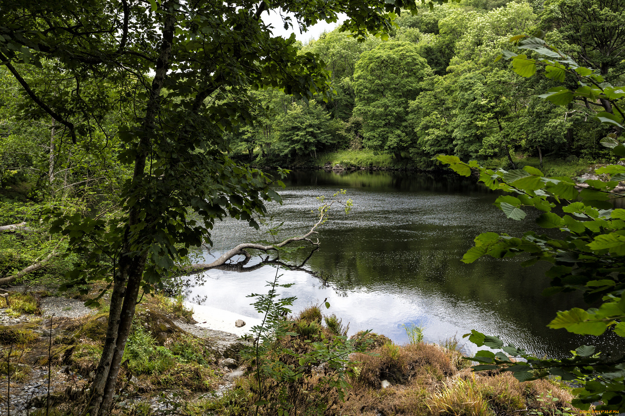 природа, реки, озера, простор