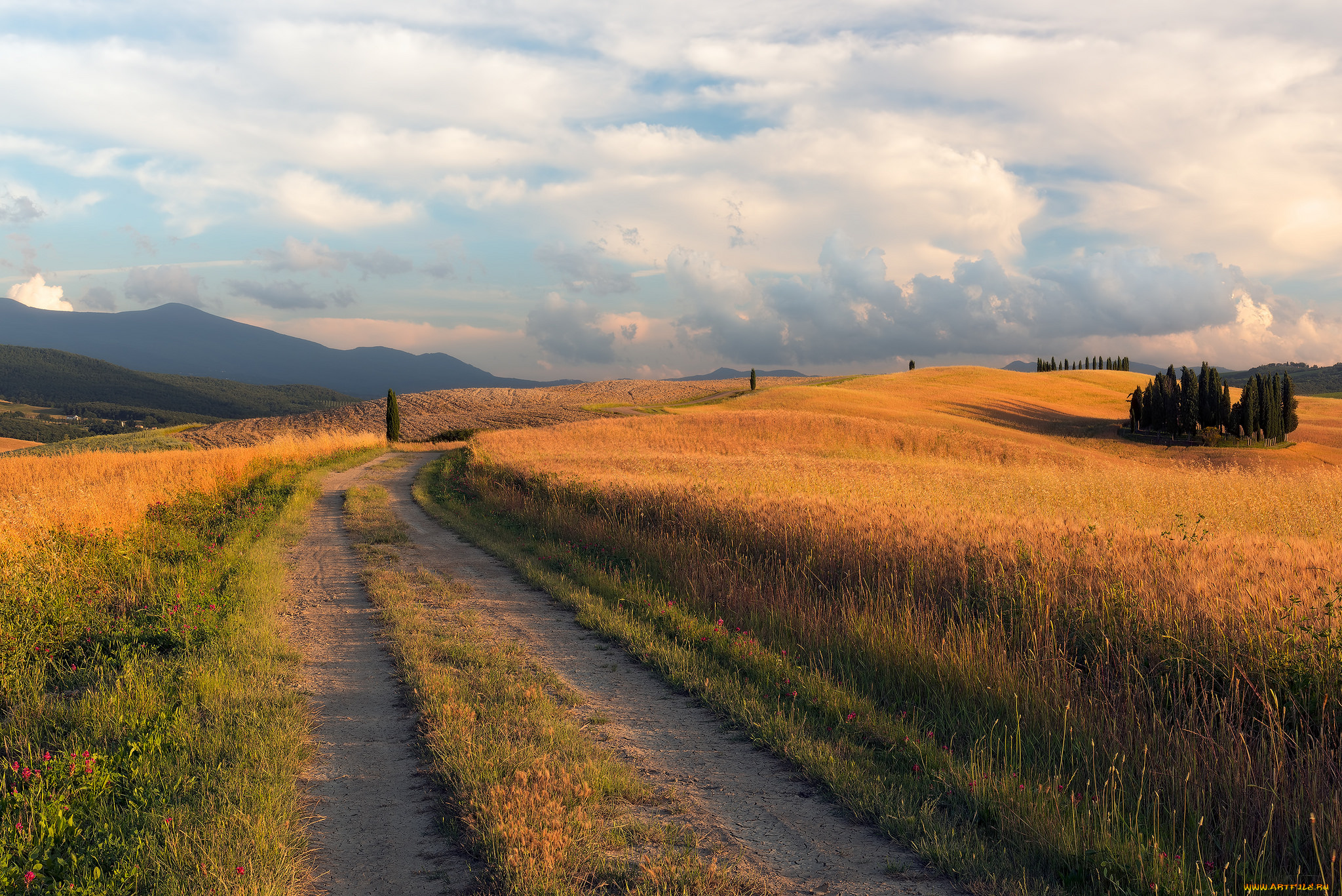 природа, дороги, простор