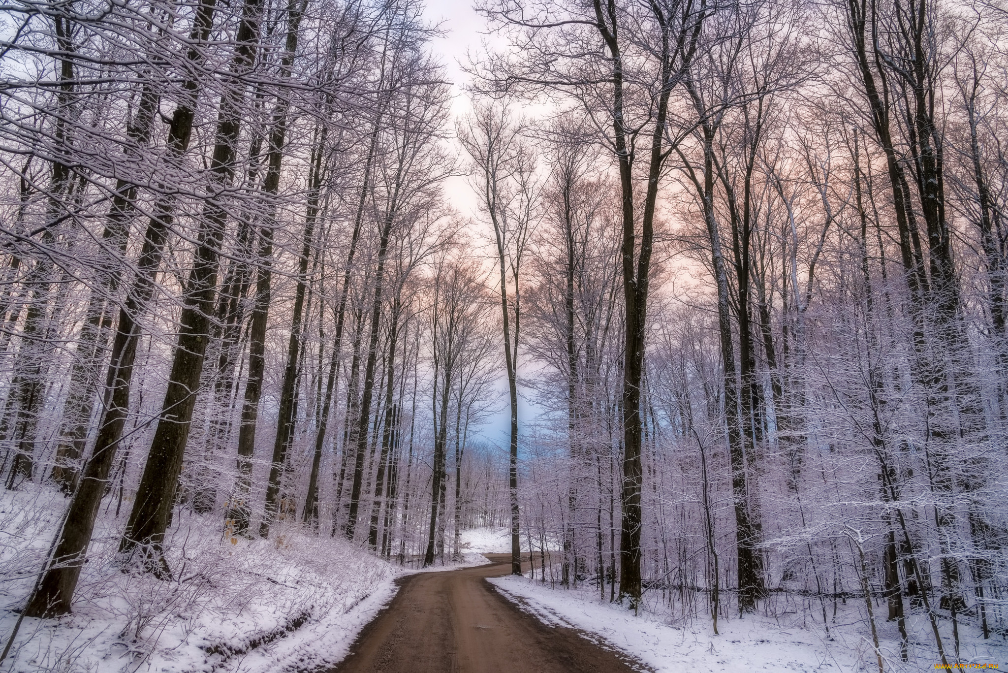 природа, дороги, простор