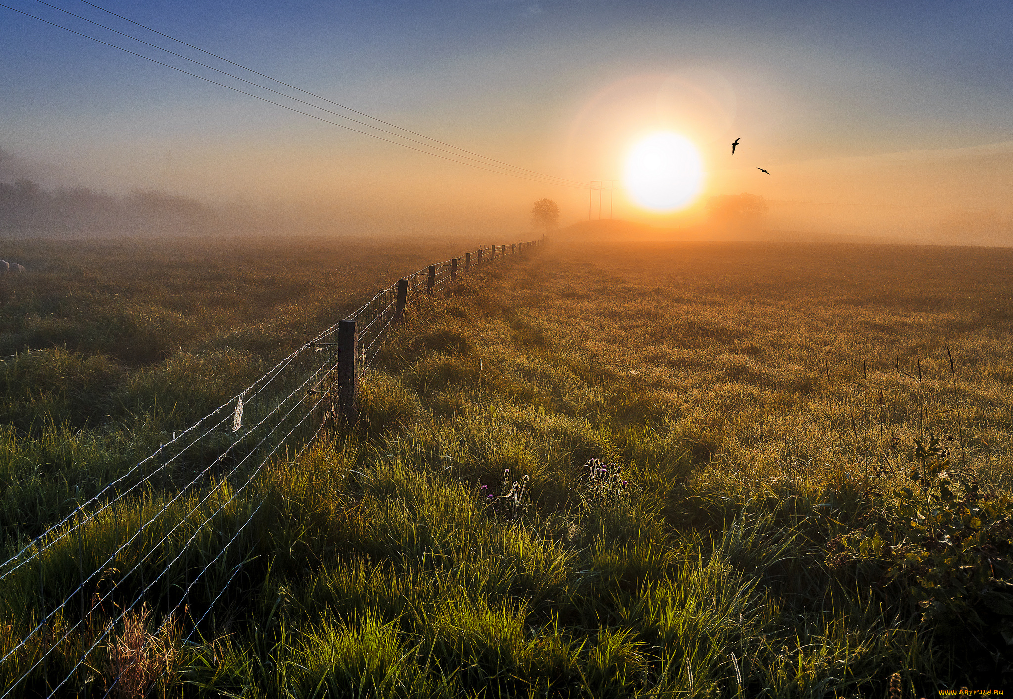 природа, восходы, закаты, простор