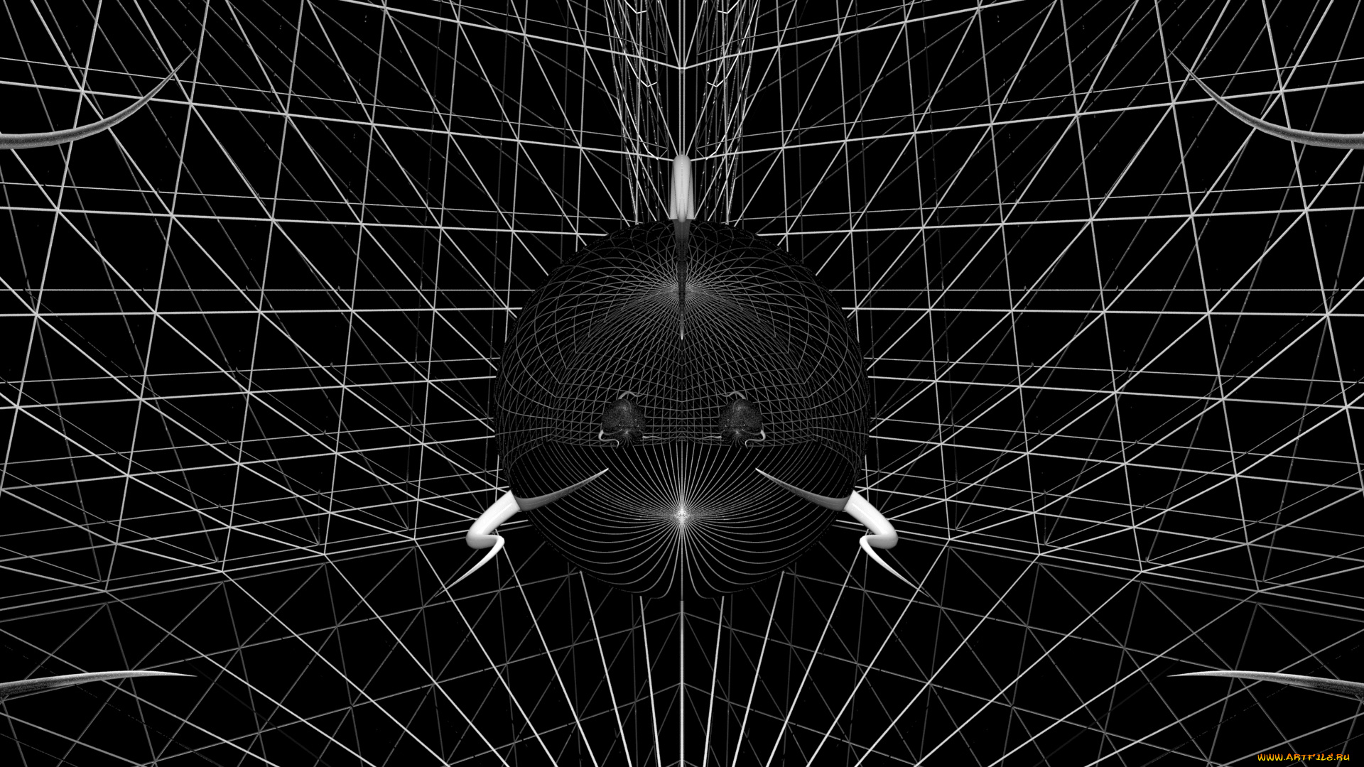 3д, графика, абстракция, , abstract, цвет, фон, узор