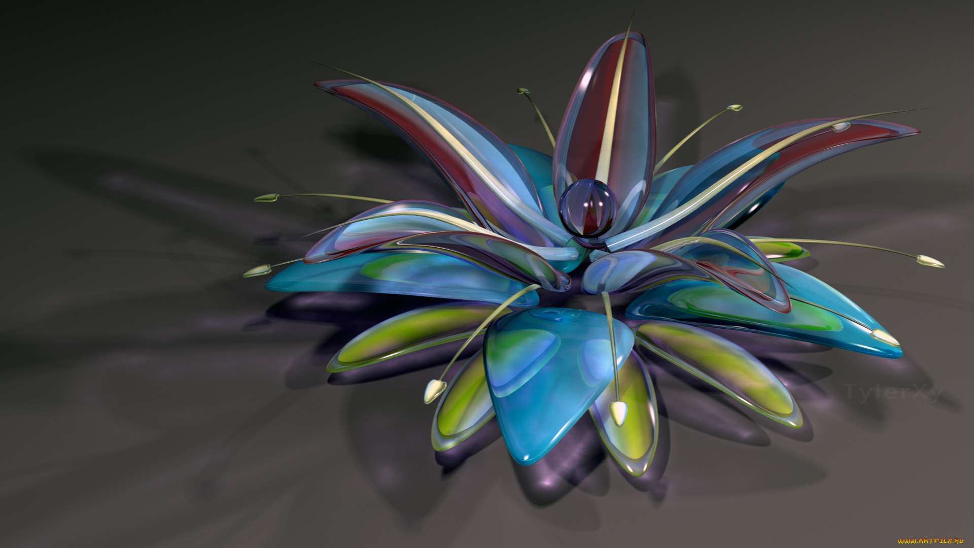 3д, графика, цветы, , flowers, цвет, лепестки, узор, фон