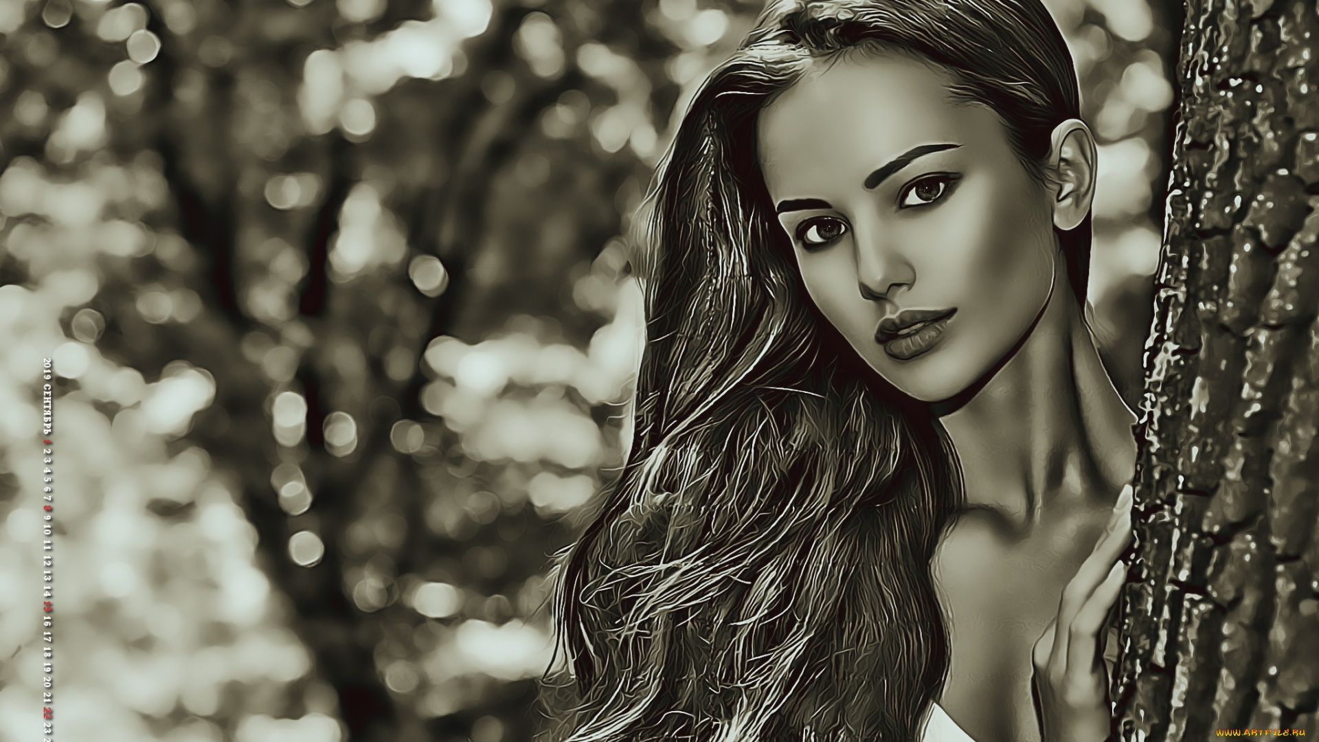 календари, компьютерный, дизайн, 2019, взгляд, женщина, calendar, девушка, природа