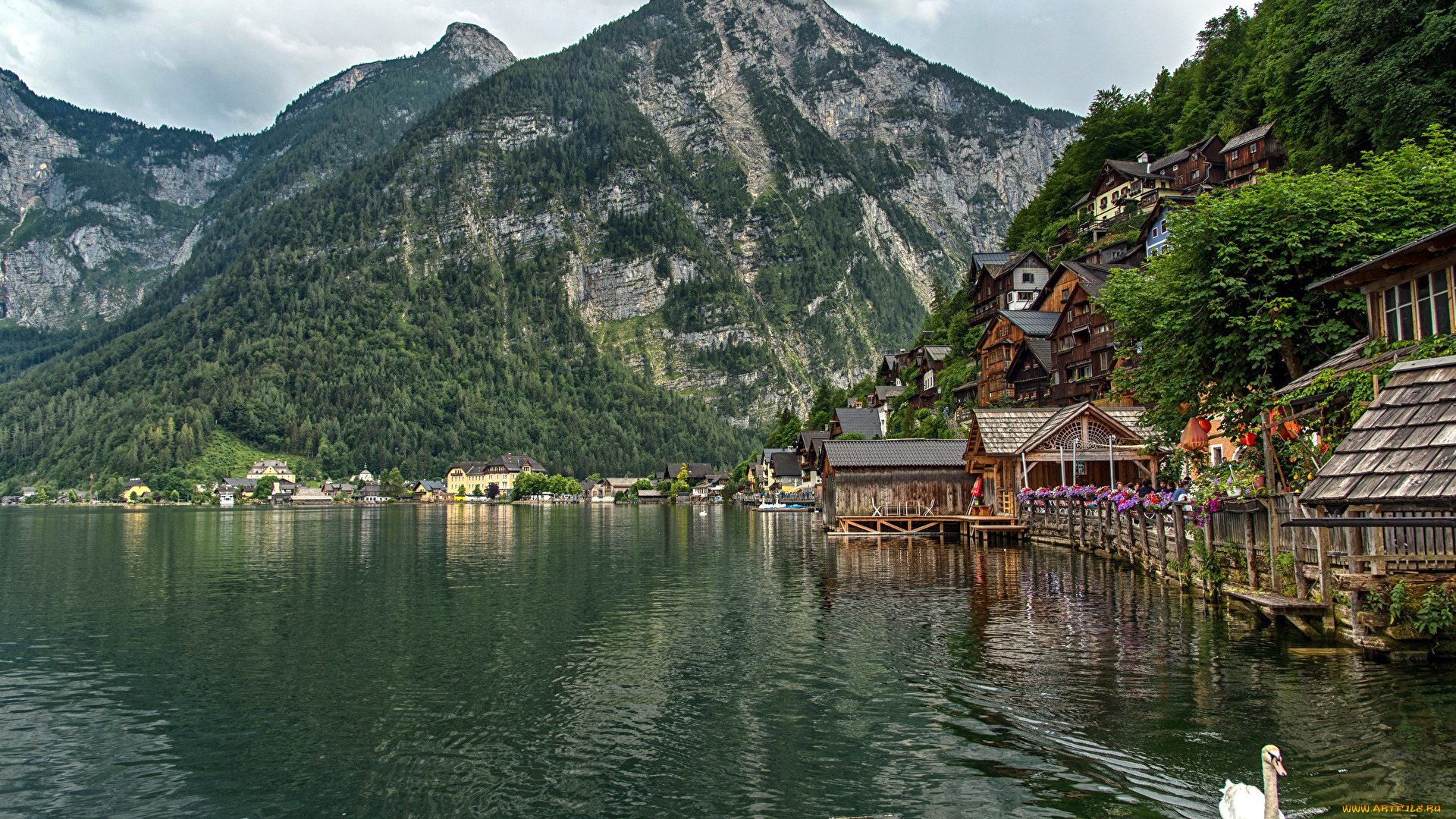 города, гальштат, , австрия, горы, озеро, дома