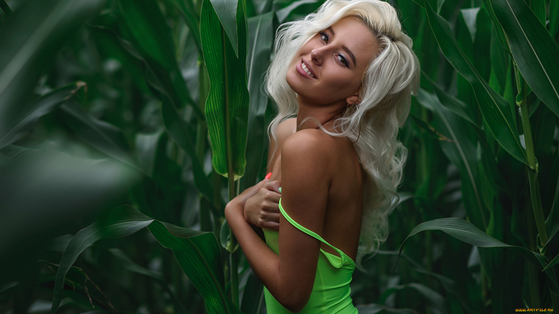 margo, девушки, -, блондинки, , светловолосые, взгляд, макияж, причёска, красавица, секси, природа, кукуруза, листья, зелень, девушка, модель, блондинка, красотка, стройная, сексуальная, поза, флирт
