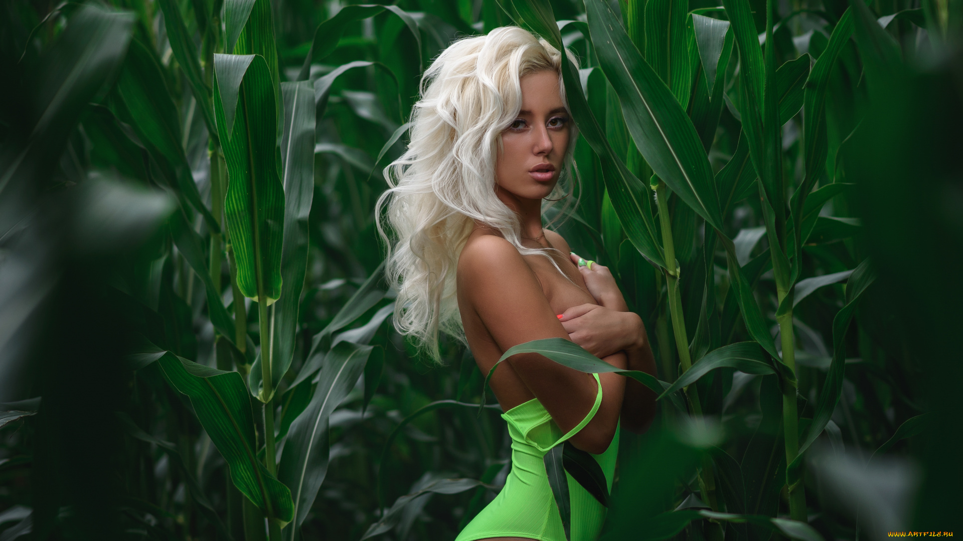 margo, девушки, -, блондинки, , светловолосые, взгляд, макияж, причёска, красавица, секси, природа, кукуруза, листья, зелень, девушка, модель, блондинка, красотка, стройная, сексуальная, поза, флирт