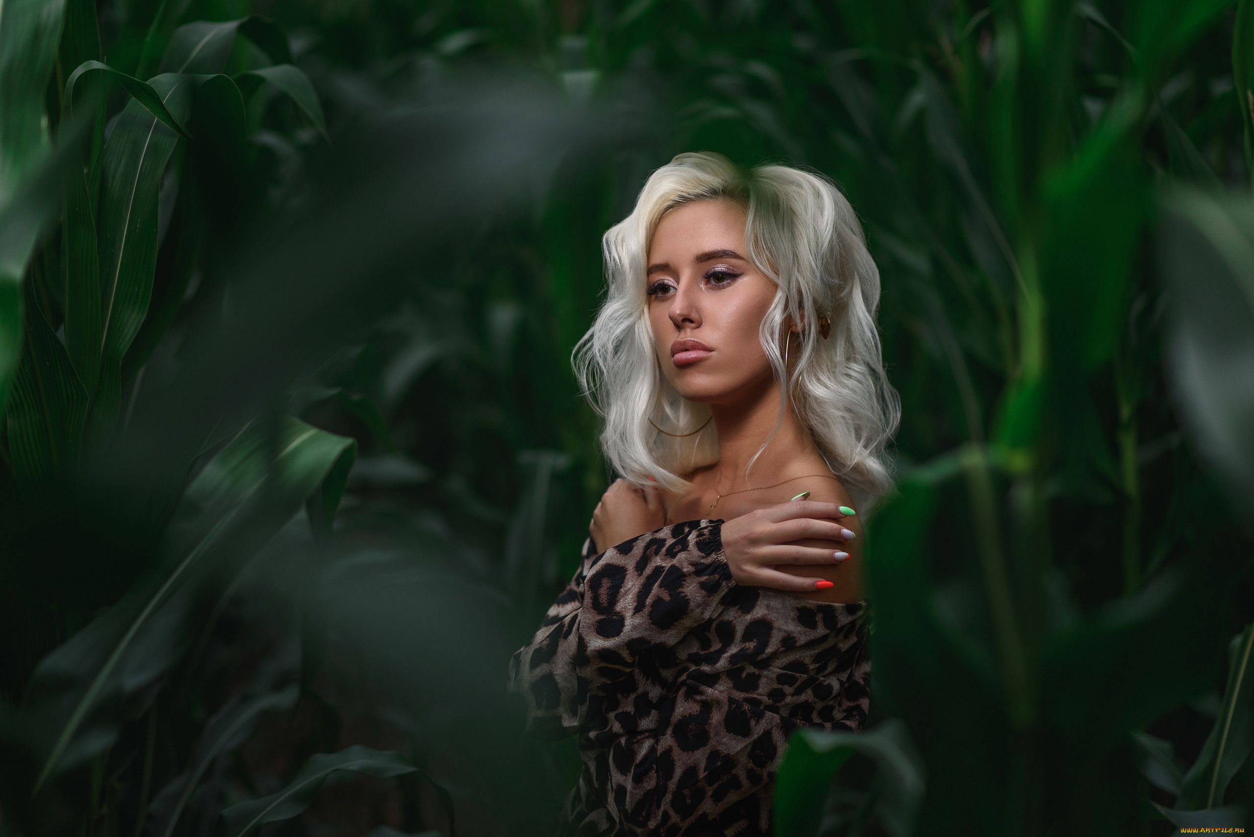 margo, девушки, -, блондинки, , светловолосые, взгляд, макияж, причёска, красавица, секси, природа, кукуруза, листья, зелень, девушка, модель, блондинка, красотка, стройная, сексуальная, поза, флирт