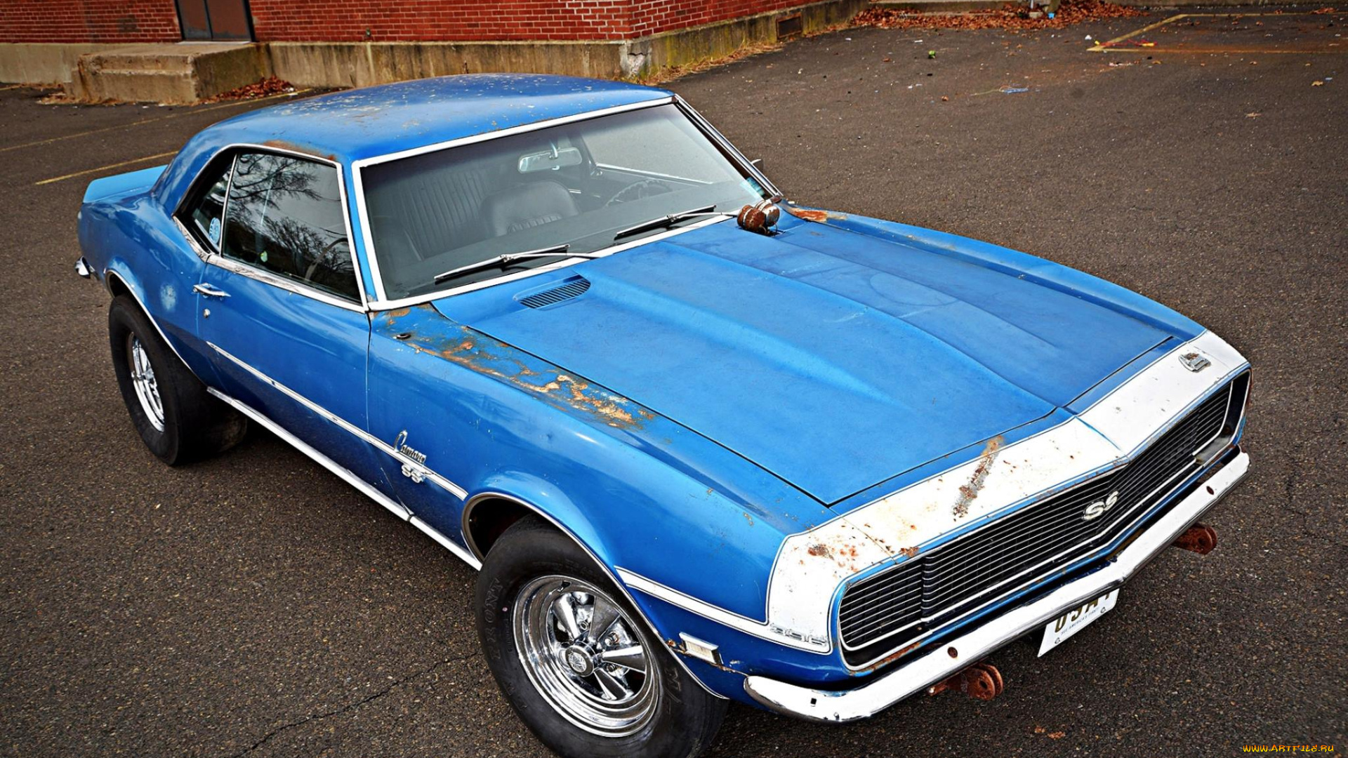 автомобили, camaro