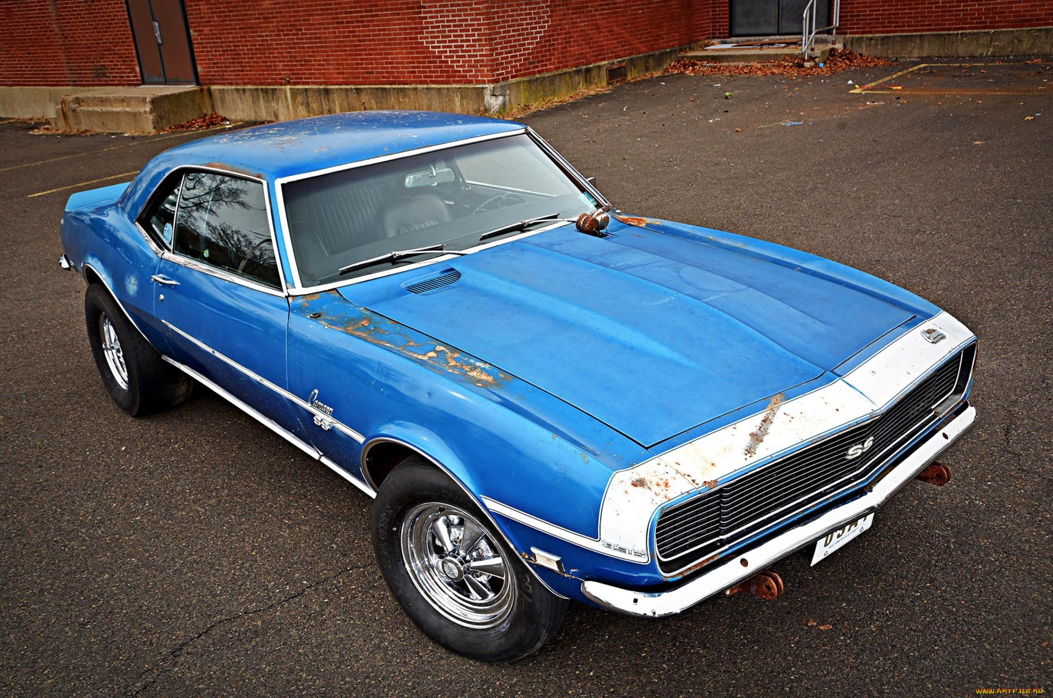 автомобили, camaro