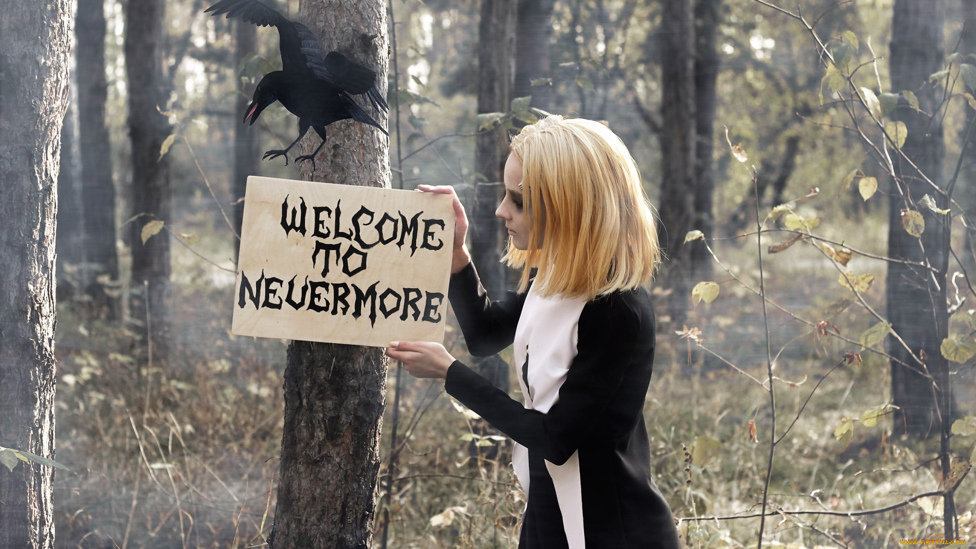 девушки, kirdjava, костюм, лес, табличка, ворон