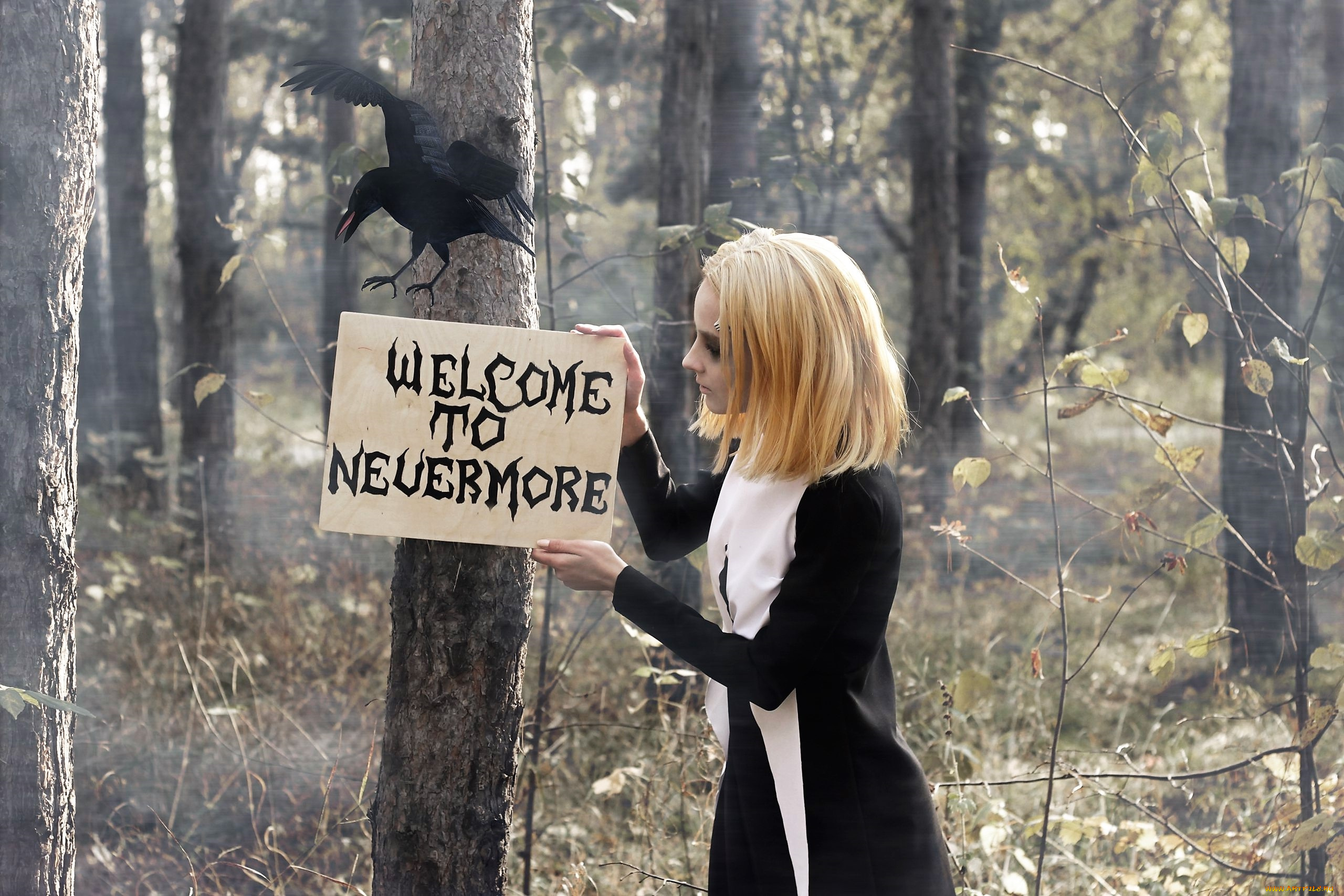 девушки, kirdjava, костюм, лес, табличка, ворон