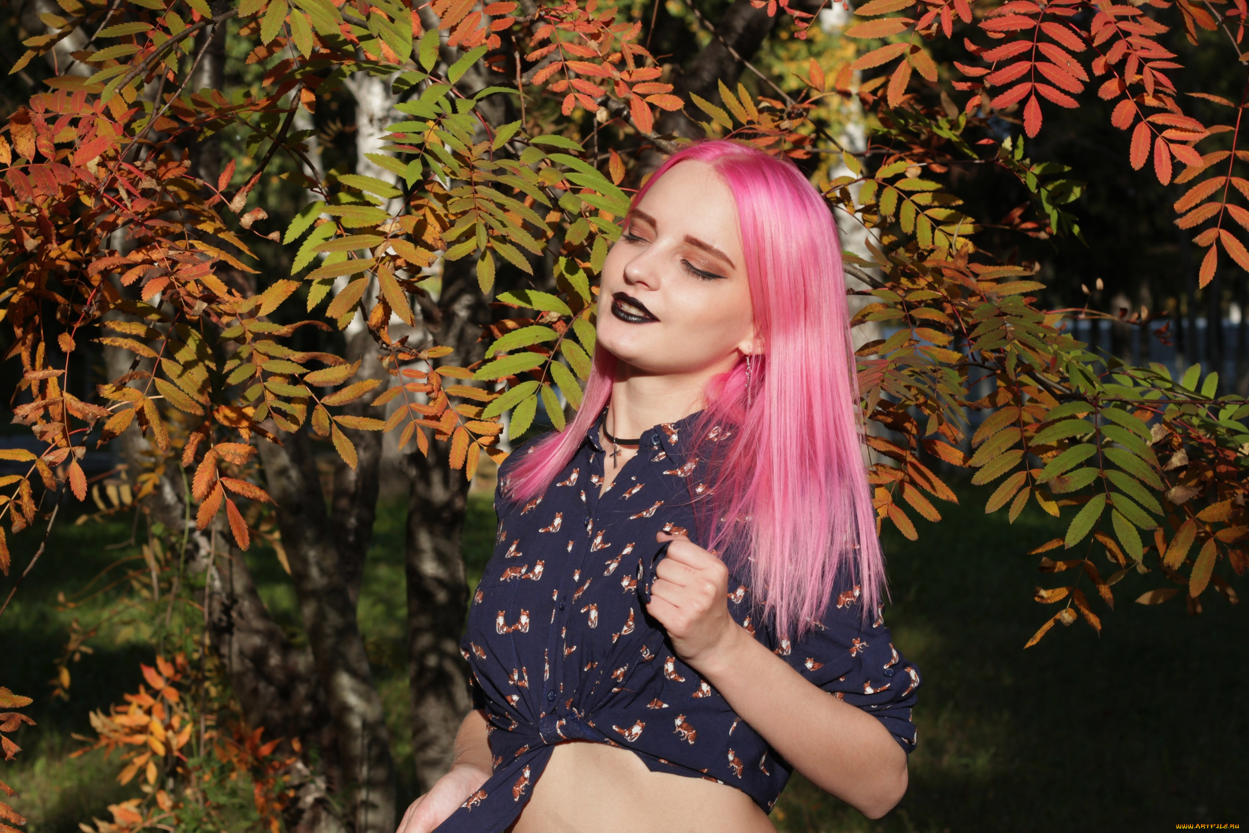 девушки, kirdjava, розовые, волосы, блузка, рябина