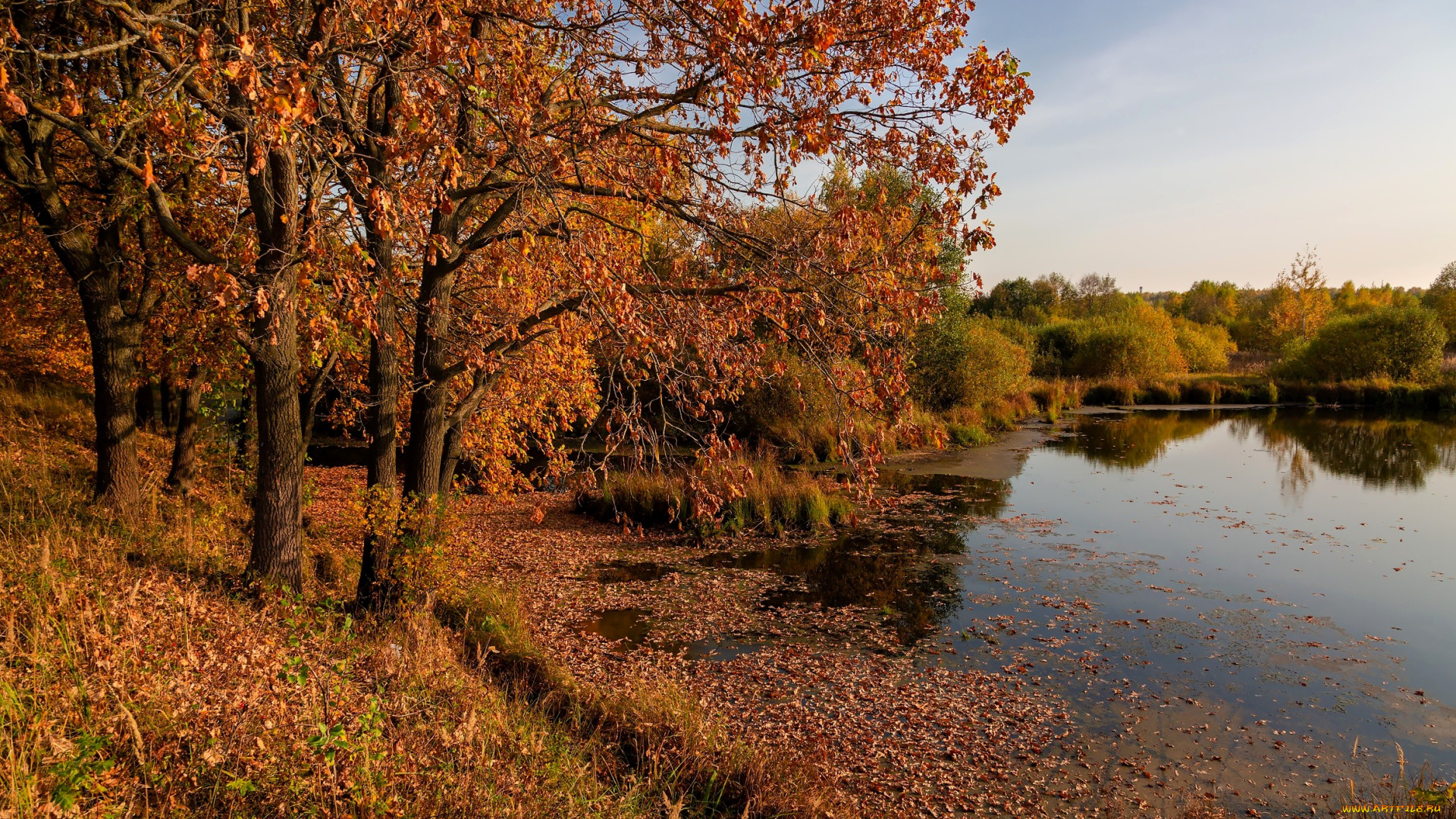 природа, реки, озера, деревья, осень, листья, озеро