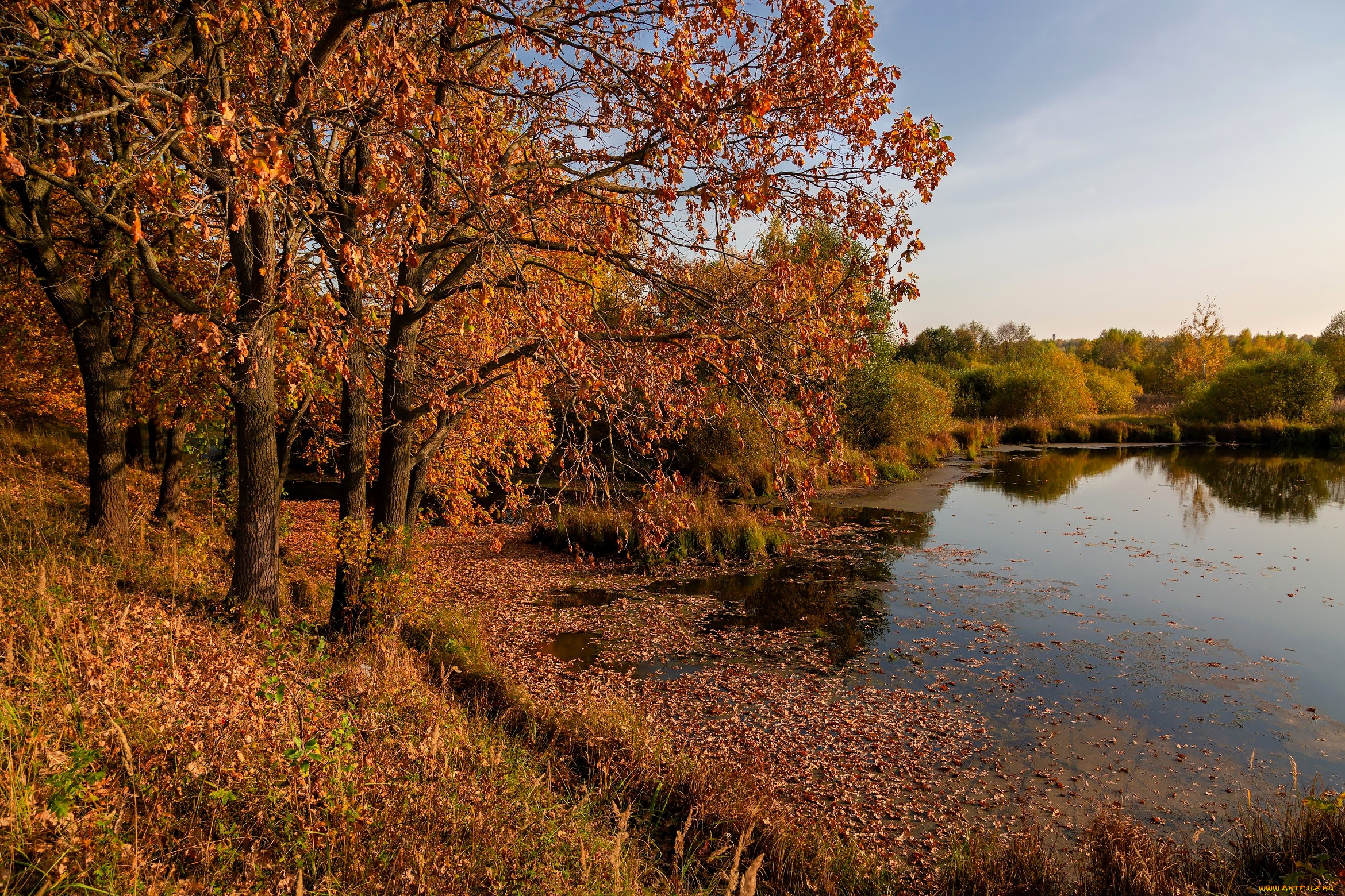 природа, реки, озера, деревья, осень, листья, озеро