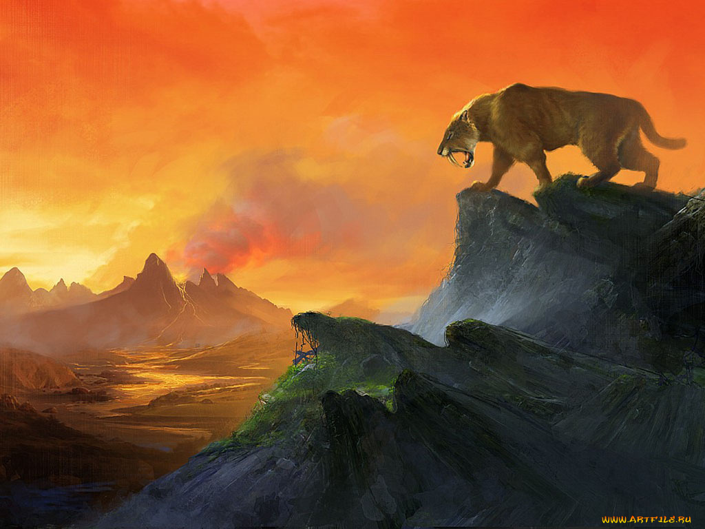 роберт, папп, рисованные, robert, papp